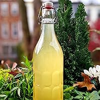 Vista 3 de Cultures for Health Un sinfín de granos de kéfir de agua dulce Bebida probiótica fermentada de bricolaje mejora la salud intestinal El iniciador