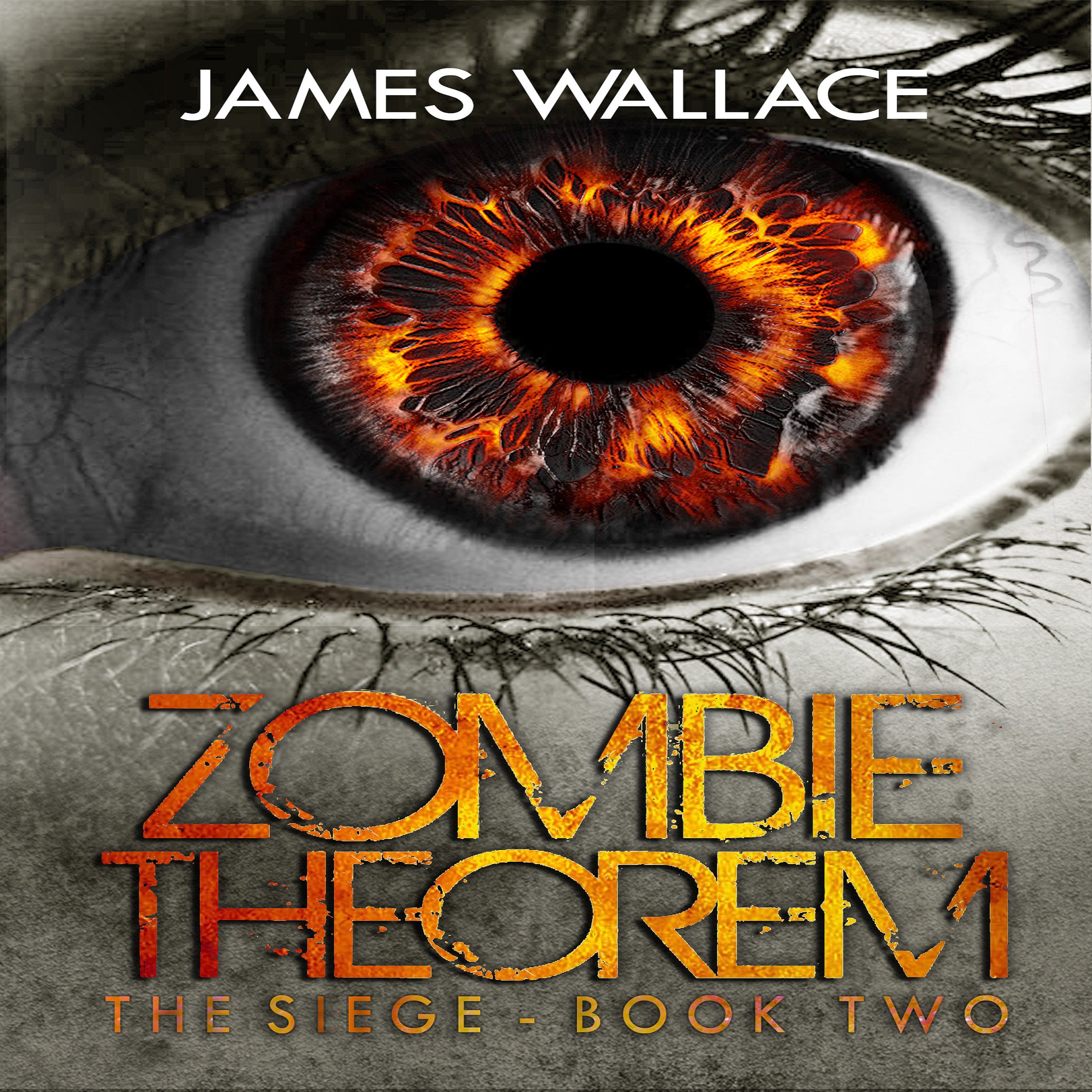 Cover art for Zombie Theorem: The Siege, Book Two