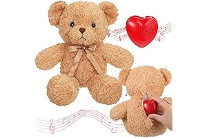 Hungdao Recordable Talking Bear