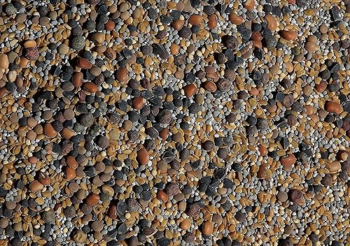 Miniatura 3 de 50 trébol plus fenogreco arvejas lino chícharos alforón guisantes forrajeros mijo lentejas trébol trébol dulce amarillo trébol blanco trébol rojo