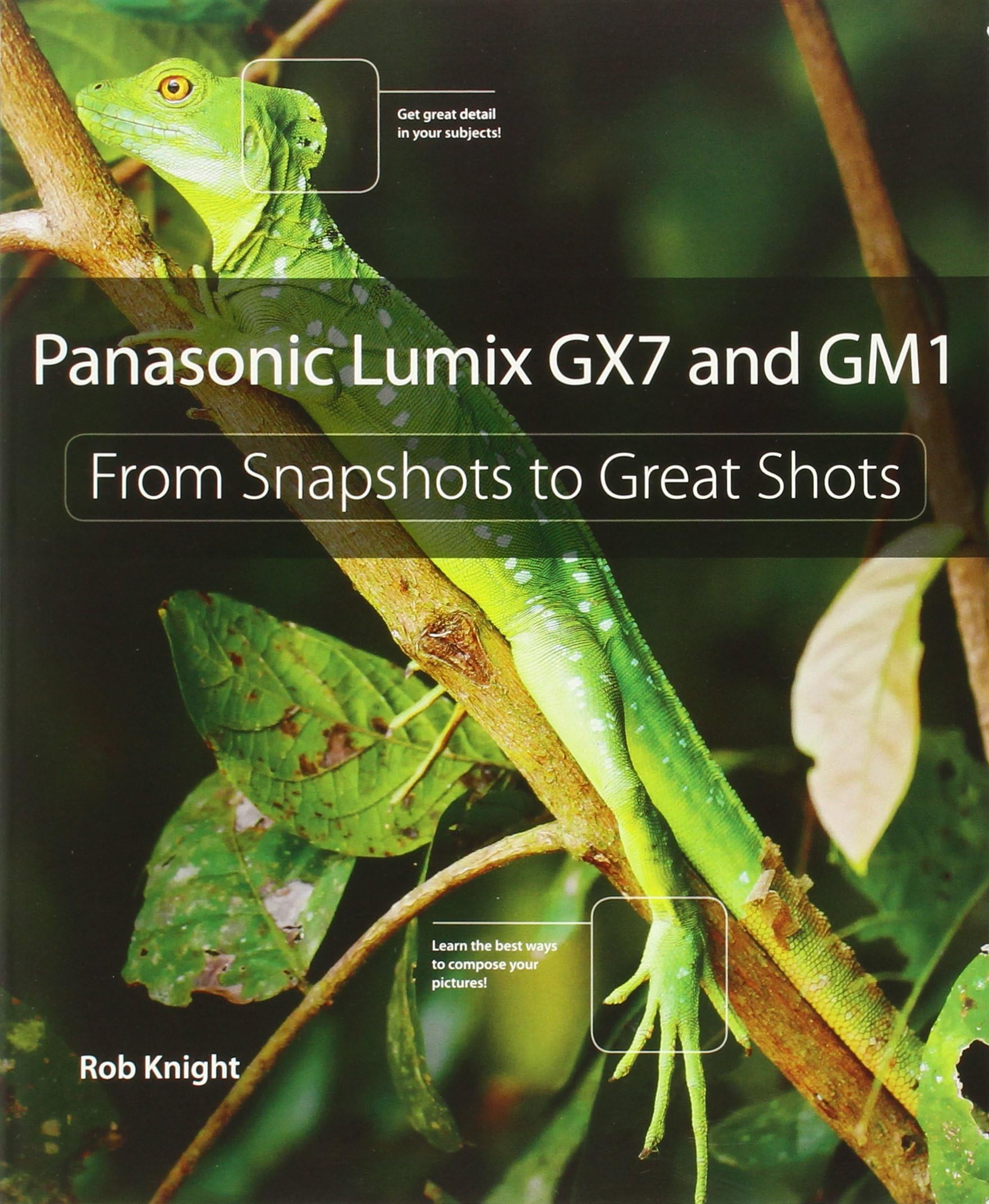 Panasonic Lumix GX7 and GM1: From Snapshots to Great Shots 1st Edition