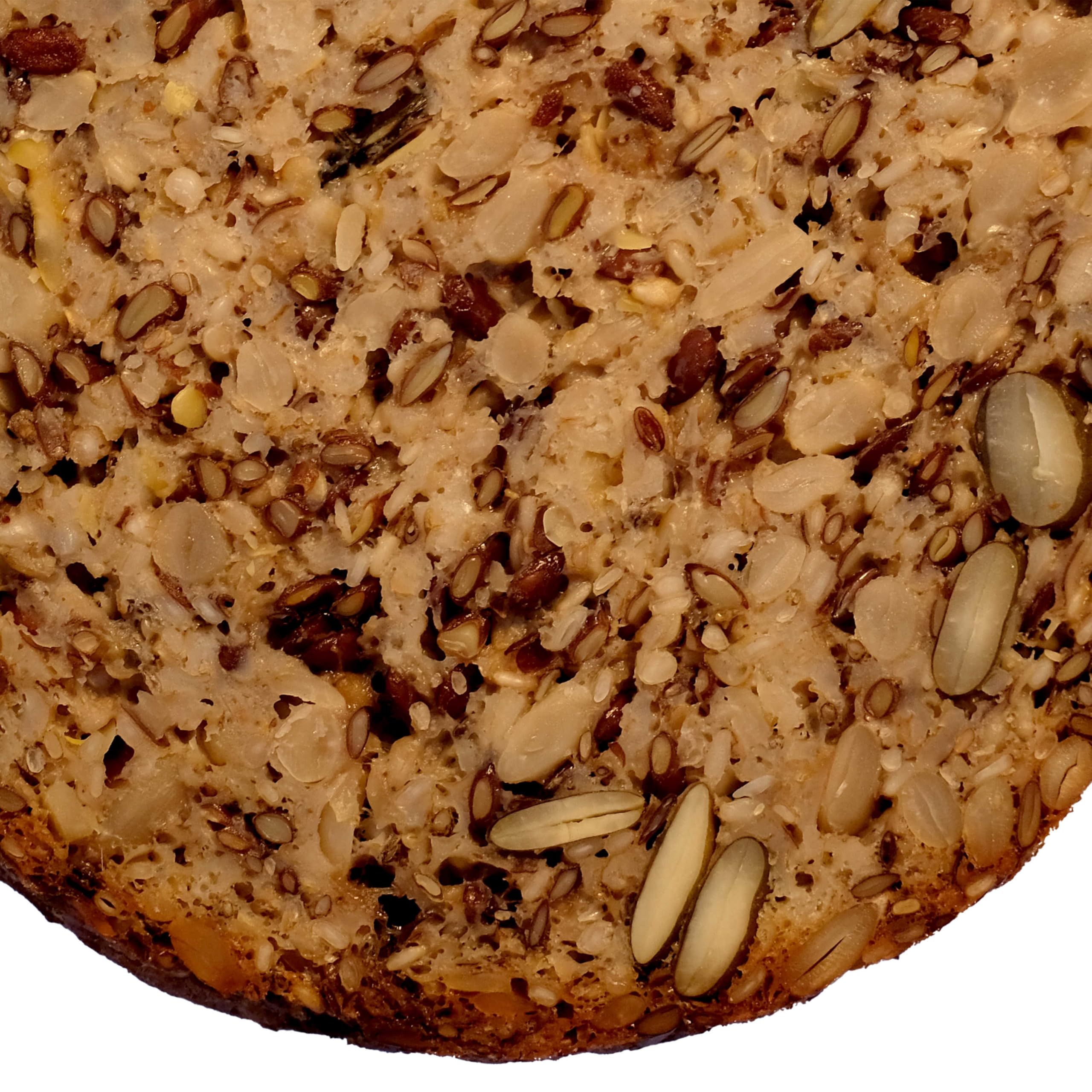 LANDSTREICHER Bio Dosenbrot, Saatenbrot, glutenfrei, 10 Jahre haltbar, 6er Pack (3.600g)