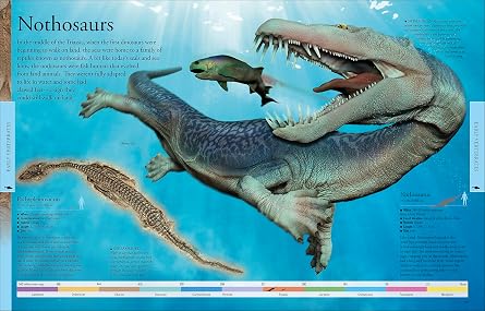 Dinosaurs: A Visual Encyclopedia of the Prehistoric World (DK Children's Visual Encyclopedias) Hardcover Illustrated, April 3, 2018
