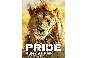 Pride: Lions of Sabi Sand. Brothers in Blood