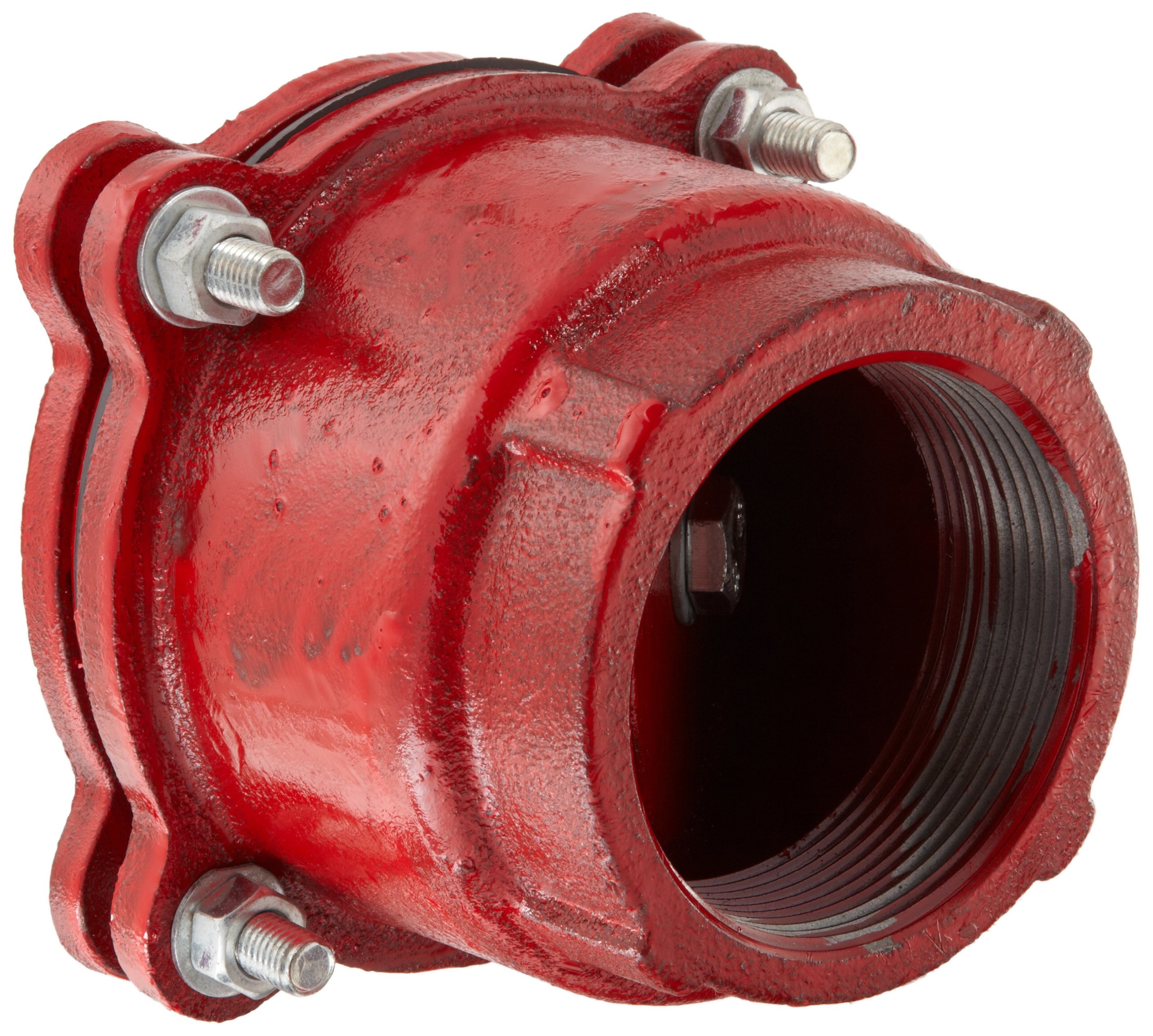 Dixon DFVS35 Painted Carbon Threaded Foot Valve Complete Assembly, 3