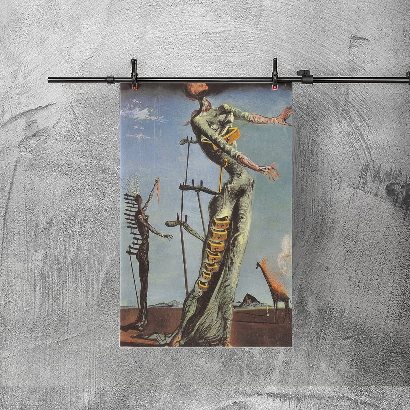 Amazon.co.jp: サルバドール・ダリの絵画のポスターのフルセットです