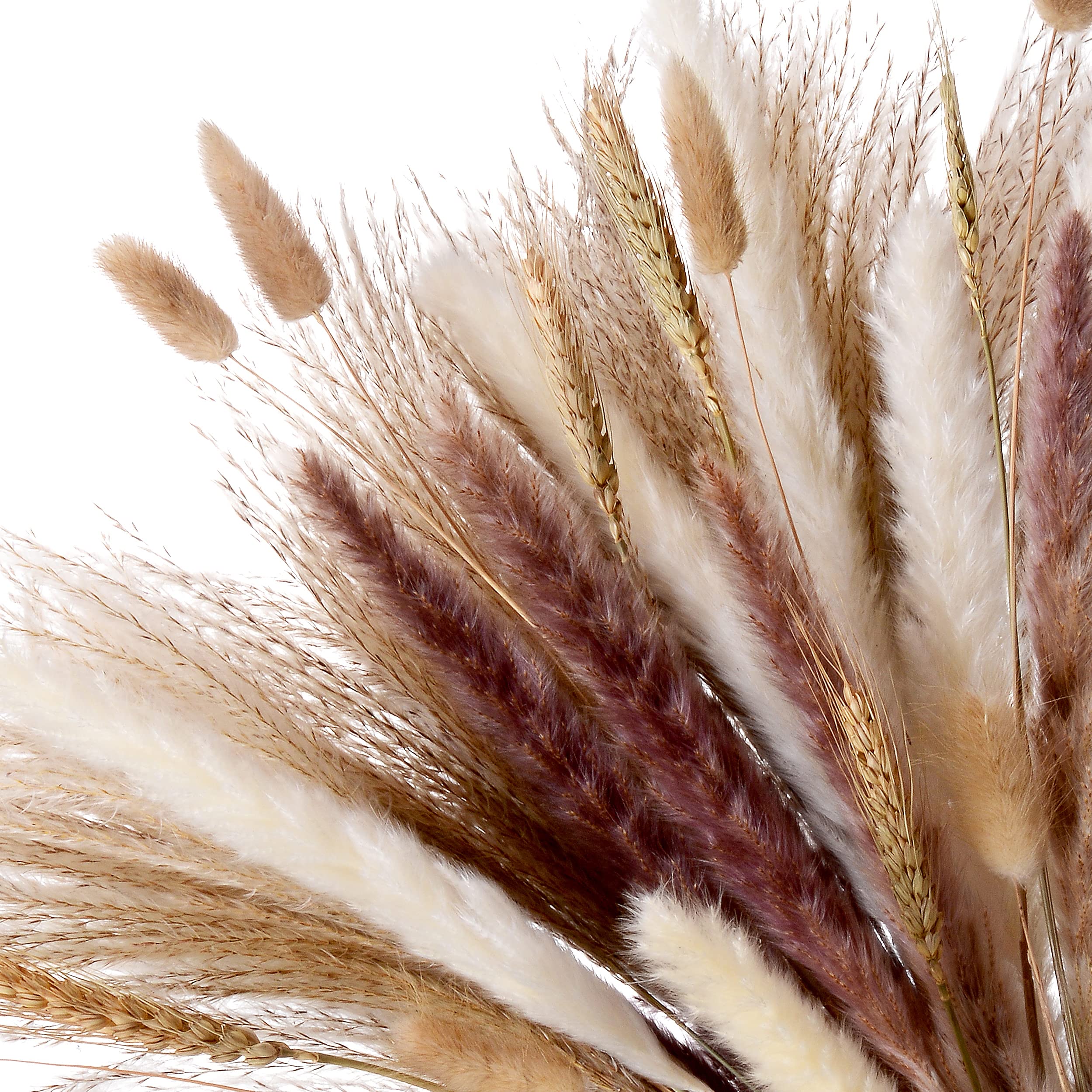 80pcs Dried Pampas Grass Flowers: 17" Natural Bouquet Decor Set of White & Brown Pampas, Reed, Bunny Tails, Wheat Sheaves Branches Table Vase - Pompous Flower Stems for Boho Home & Wedding Birthday