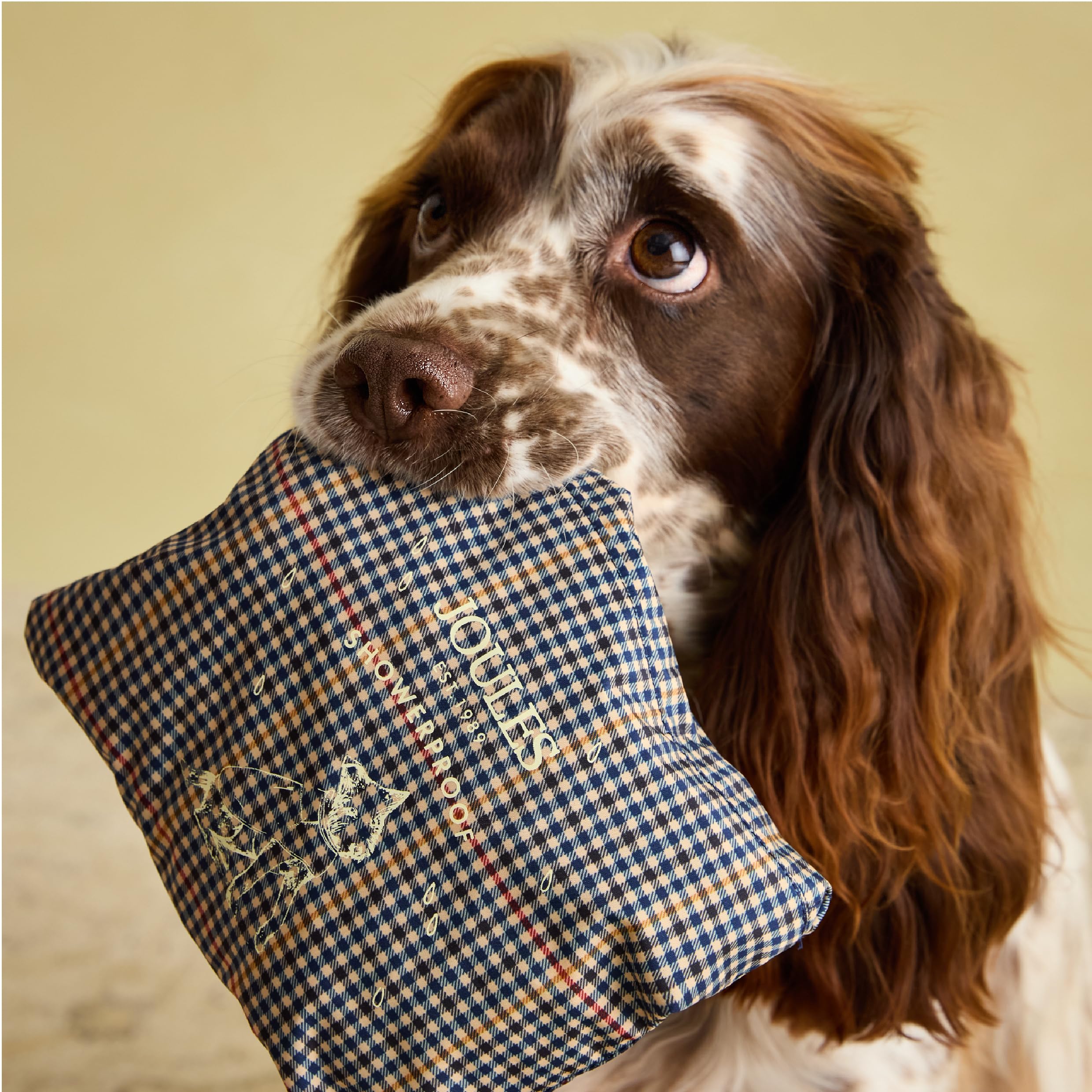 Rosewood Joules Henson Veste Pliable à Carreaux pour Chiens de Taille M, Lavable, légère et Portable, imperméable et imperméable pour Chiens de Taille Moyenne