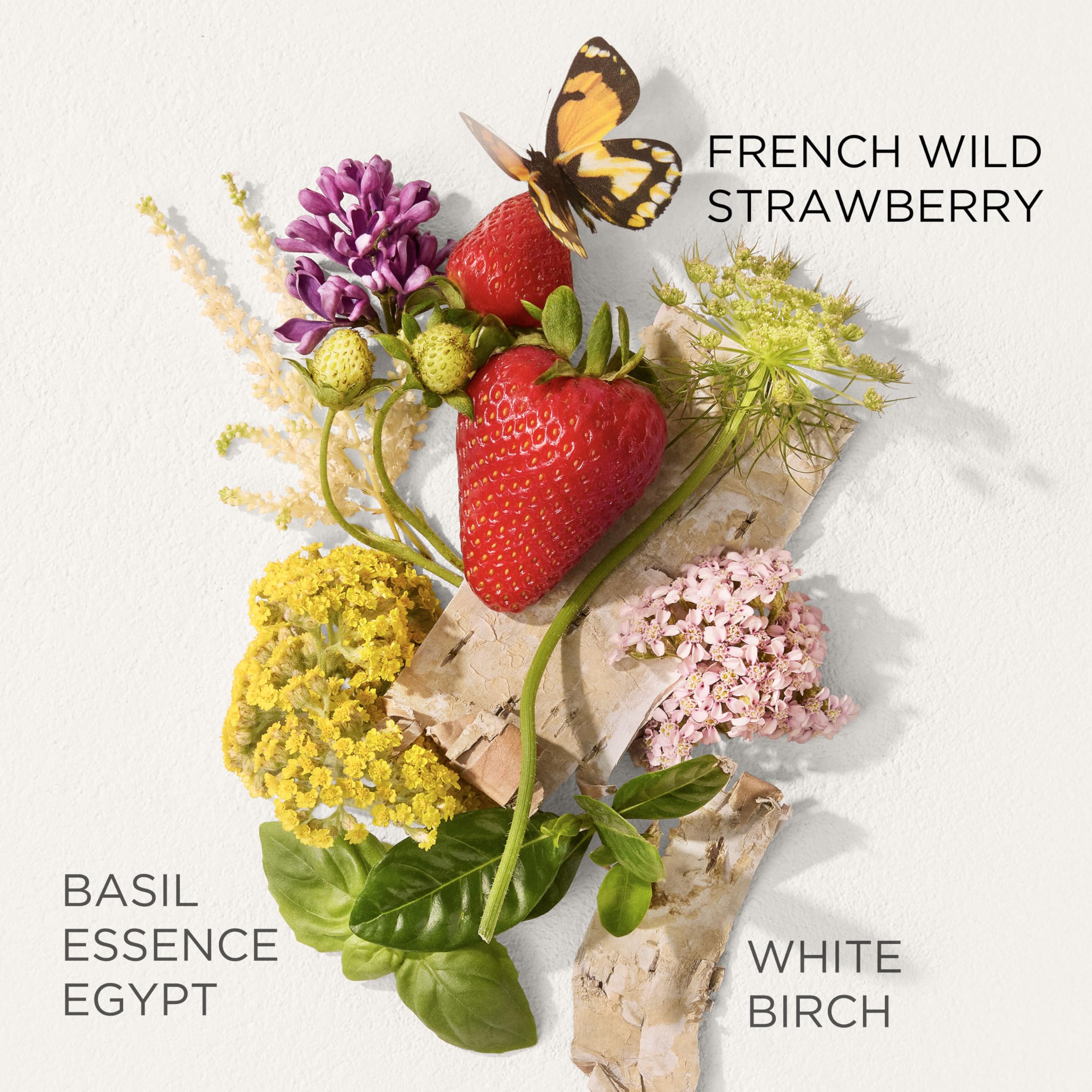 Elizabeth Arden Perfumy damskie Green Tea Strawberry Basil, świeża i owocowa damska woda toaletowa z nutami truskawki, bazylią i zieloną herbatą, długotrwały zapach o lekkim i orzeźwiającym zapachu