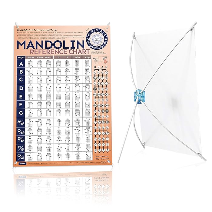 Buy Mandolin Chord Chart Laminated of Popular Mandolin Chords