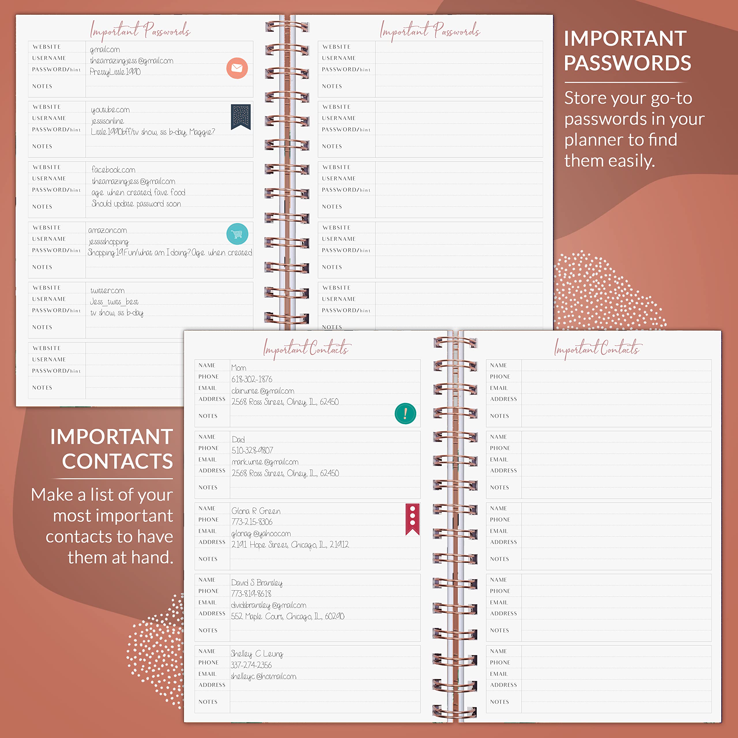 PLANBERRY Planner settimanale - Organizzatore di vita non datato e pianificatore del budget - Gestione del tempo, Impostazione degli obiettivi, Elenco delle cose da fare, equilibrio tra lavoro e vita