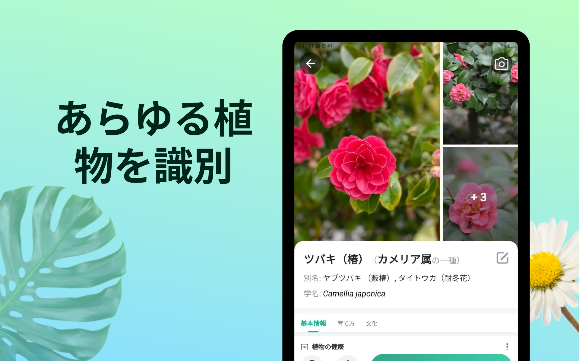 きよら様　確認用ページ　ピクチャーデイズも在庫あれば追加予定 CAINZ-DASH】ユニット 868－54のステッカー 作業中 360