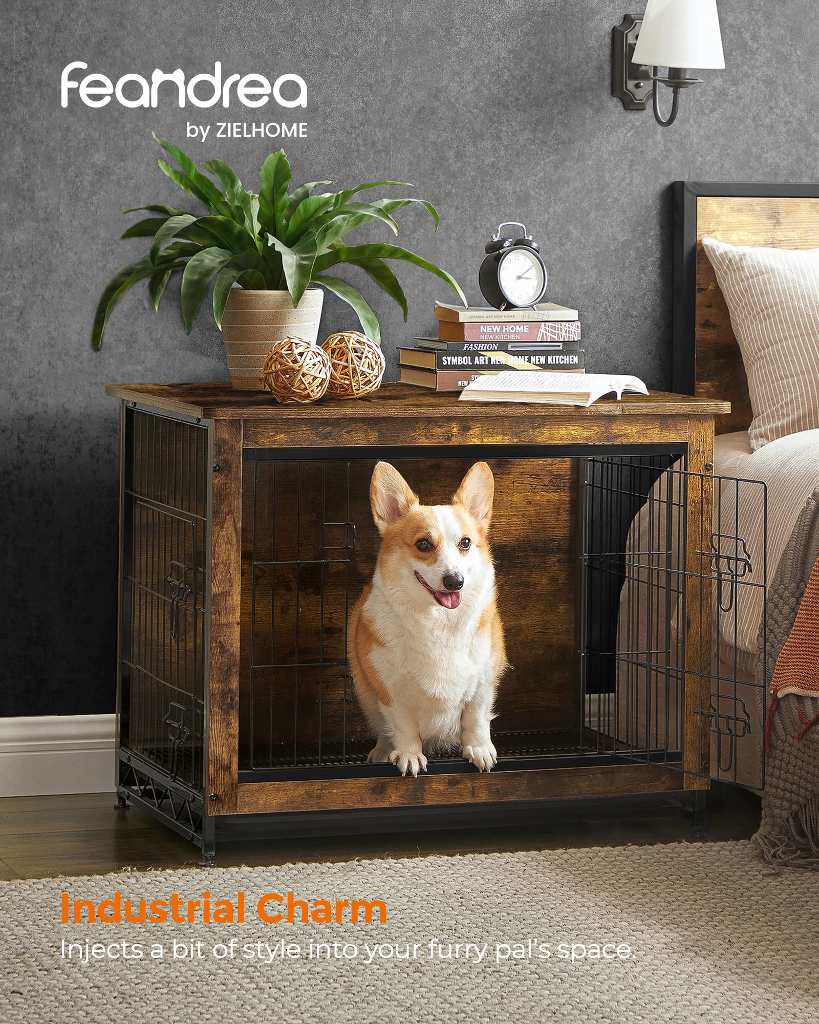 https://m.media-amazon.com/images/I/91bwBrIa9XL.jpg
