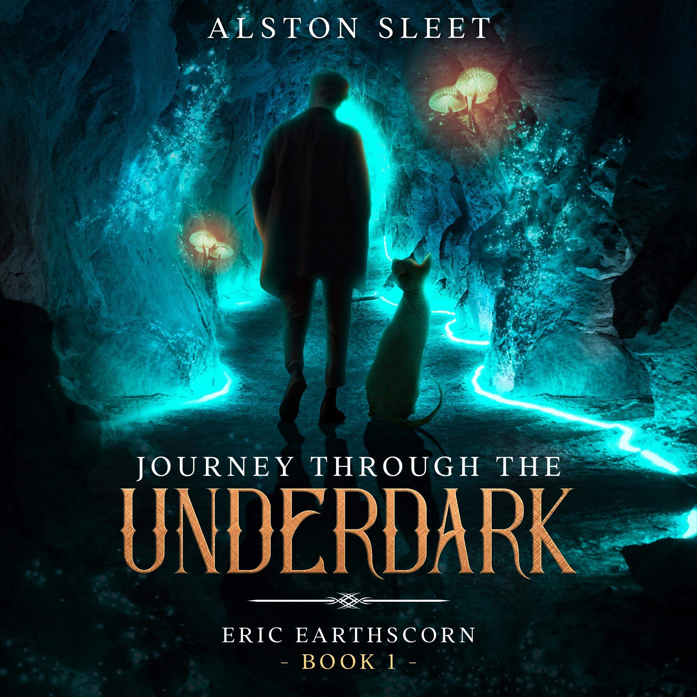 Cover art for Journey Through the Underdark