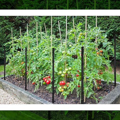 Miniatura 7 de Sintuff Paquete de 50 postes eléctricos para cerca, postes de plástico de 40 pulgadas, postes de valla resistentes para patio de jardín, valla de