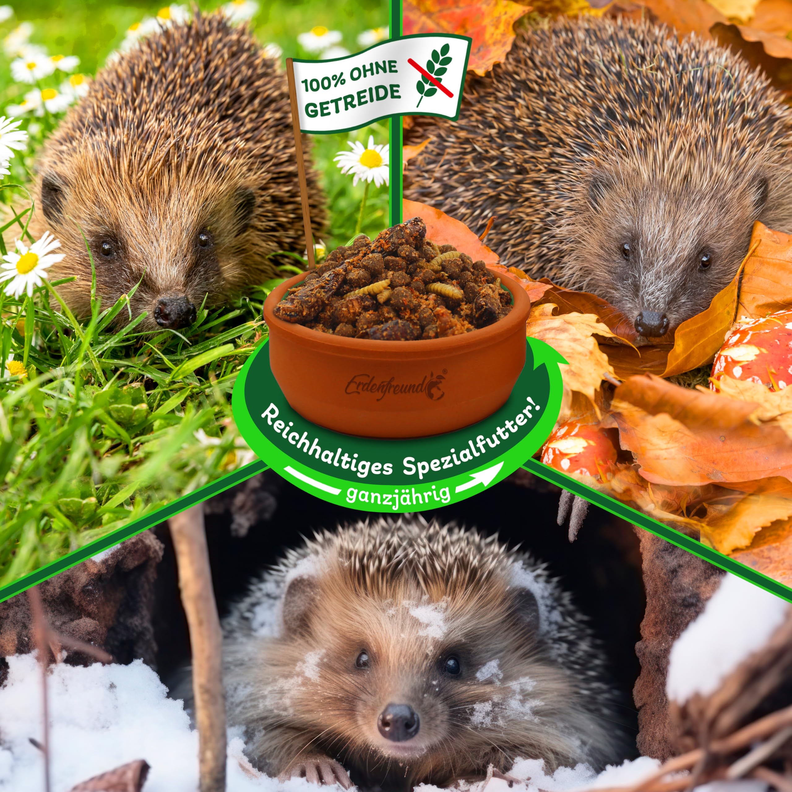 ERDENFREUND® Premium Igelfutter 100% getreidefrei 3x600g Ganzjahres-Alleinfutter für Igel mit Insekten vollwertig verdaulich nährstoffreich (3x600g Frischepacks = 1800g Premium Igelfutter)