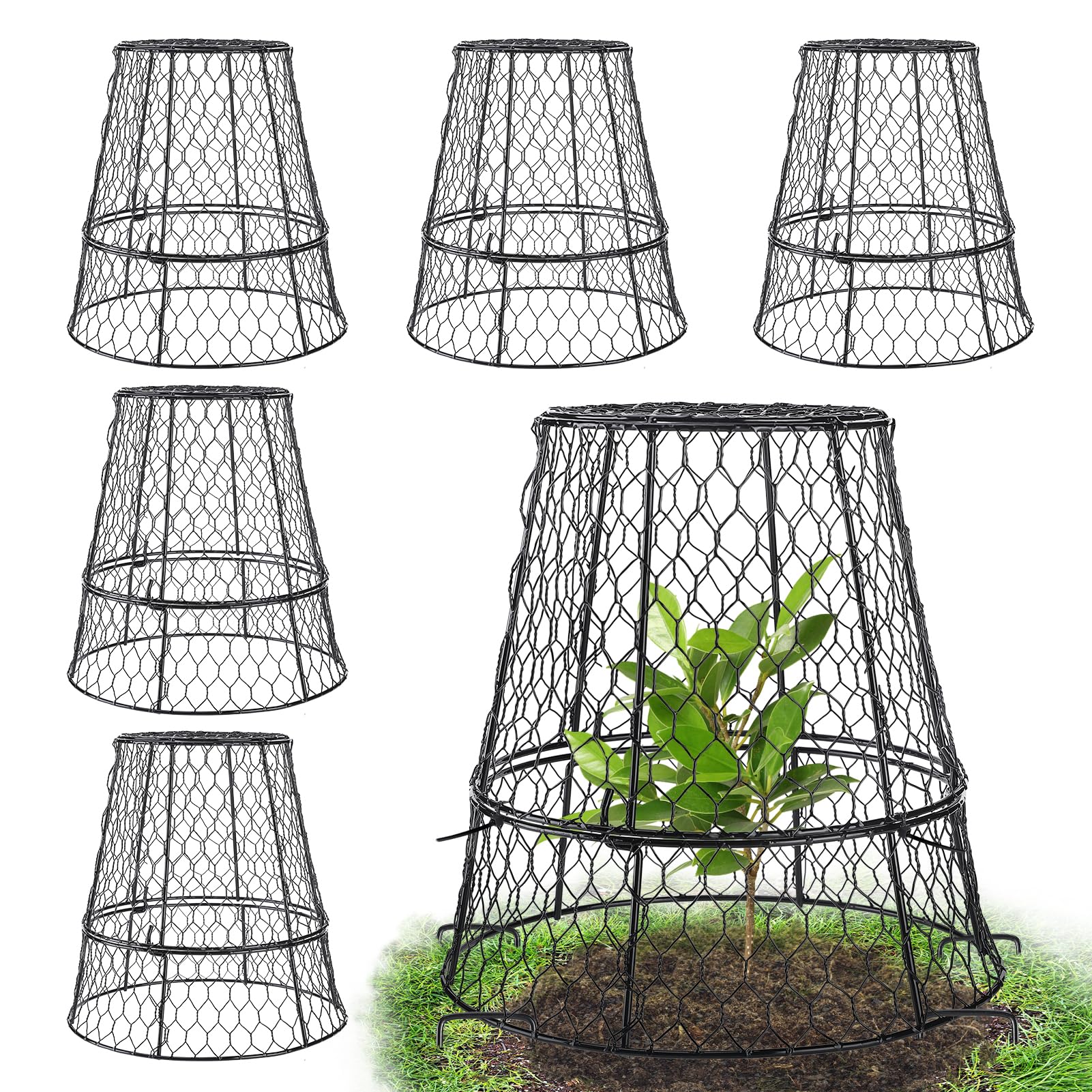 MADHOLLY Plant Protectors