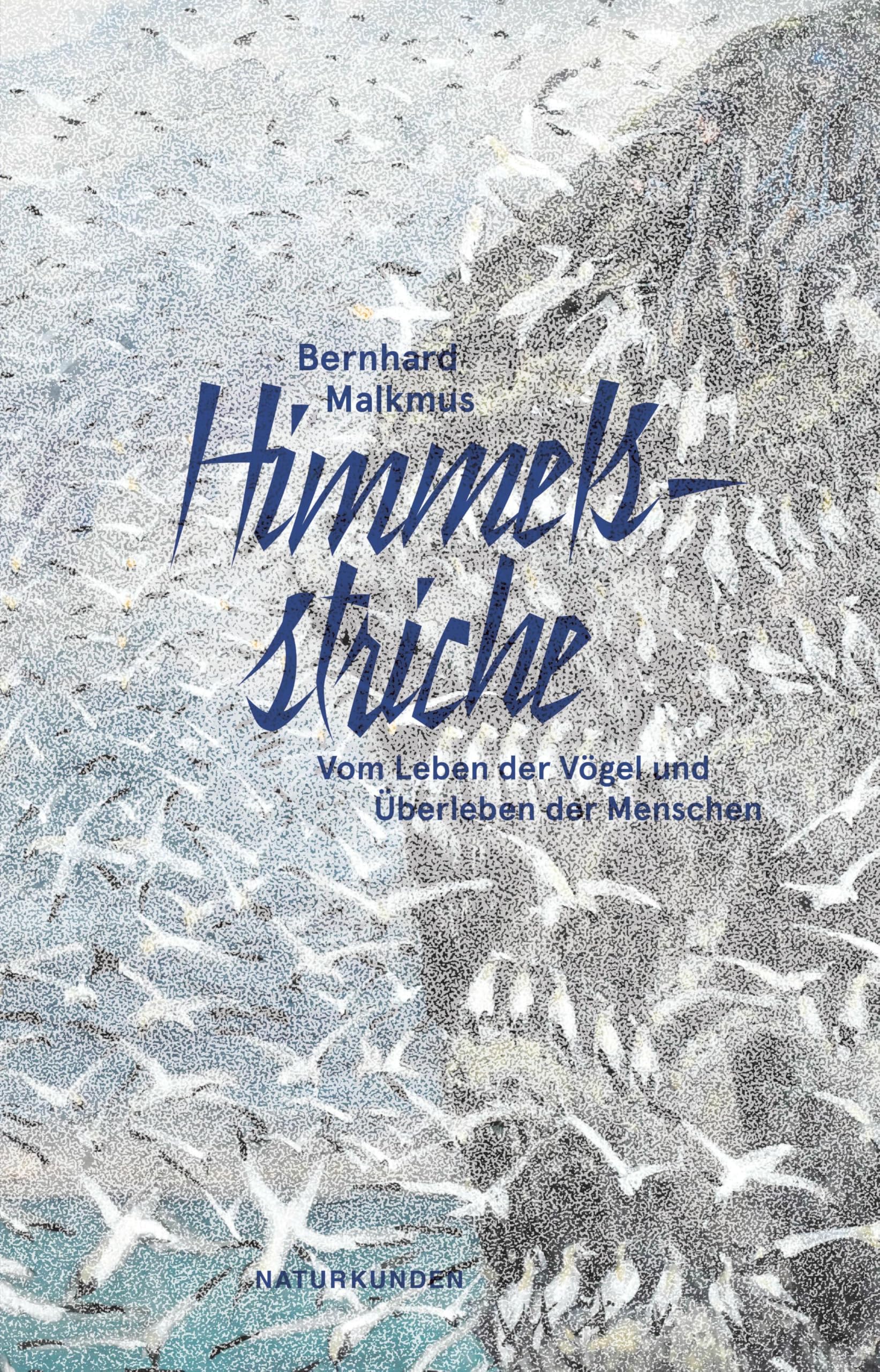 Himmelsstriche: Vom Leben der Vögel und Überleben der Menschen