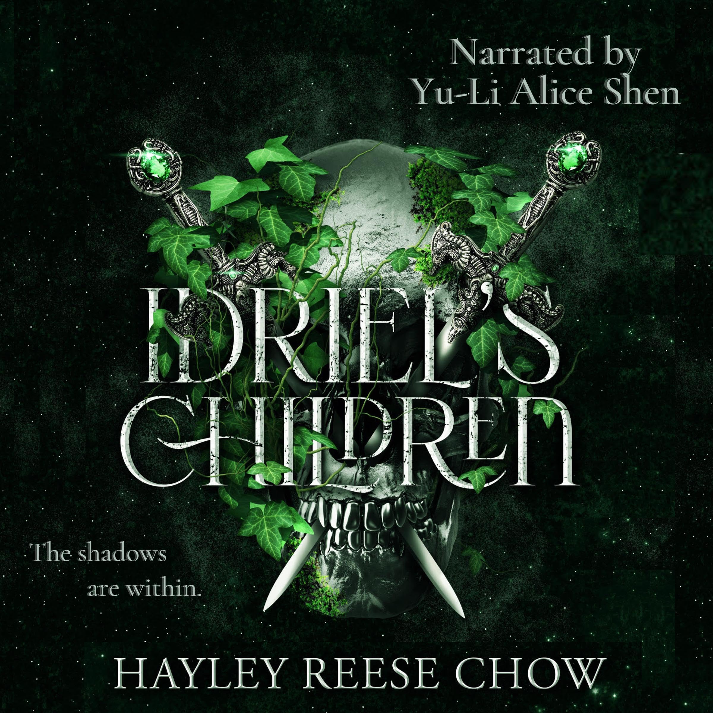 Cover art for Idriel's Children