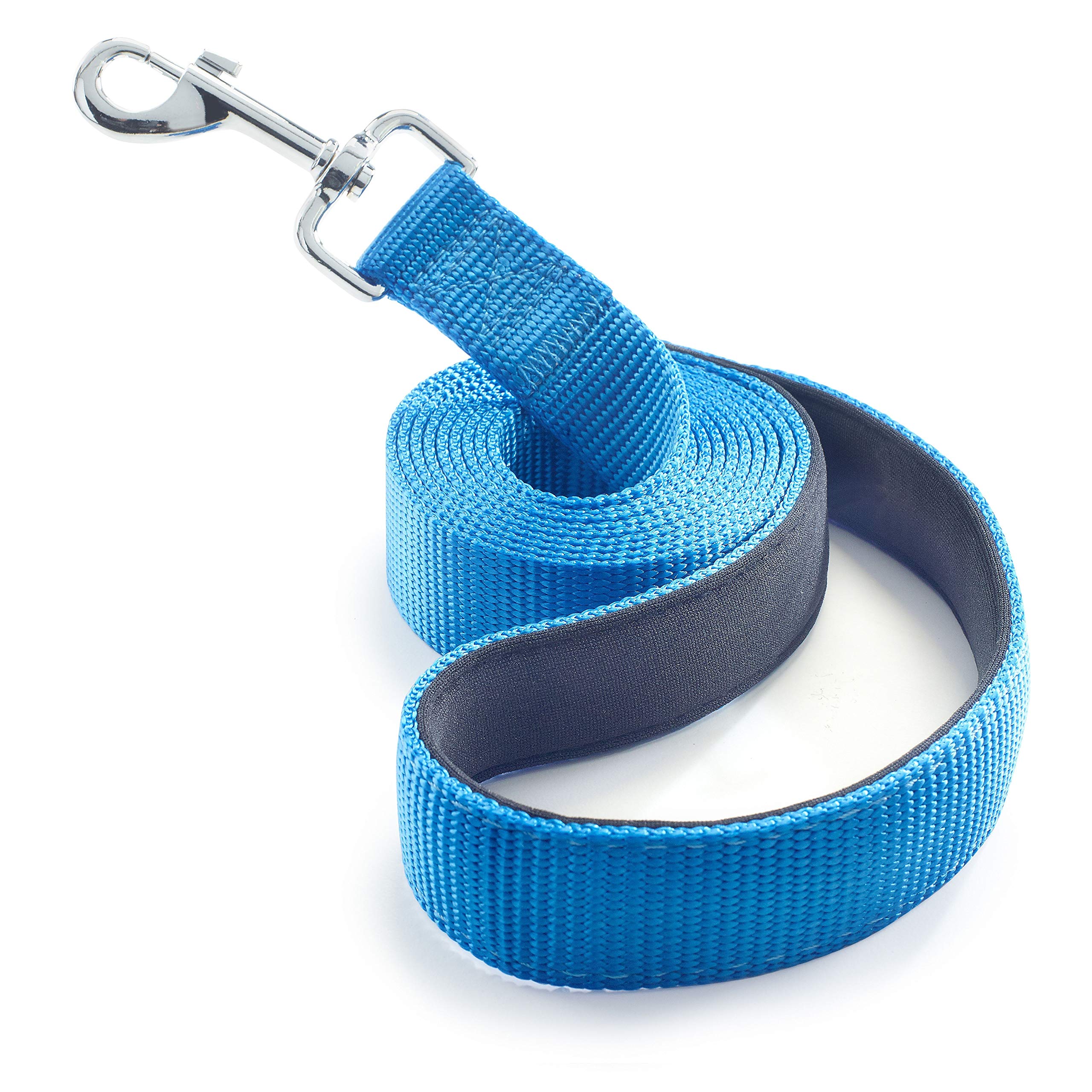 Dutchy Brand PetsLovers Premium Dog Leash - Sturdy Nylon Strap, Padded Handle - 6 Feet Long, 1 Inch Wide (Blue, 1-Layer (Small Dogs))