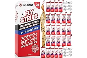 Fruit Gnat Catcher Ribbon Flypaper 24 Indoor Sticky Hanging With Pin