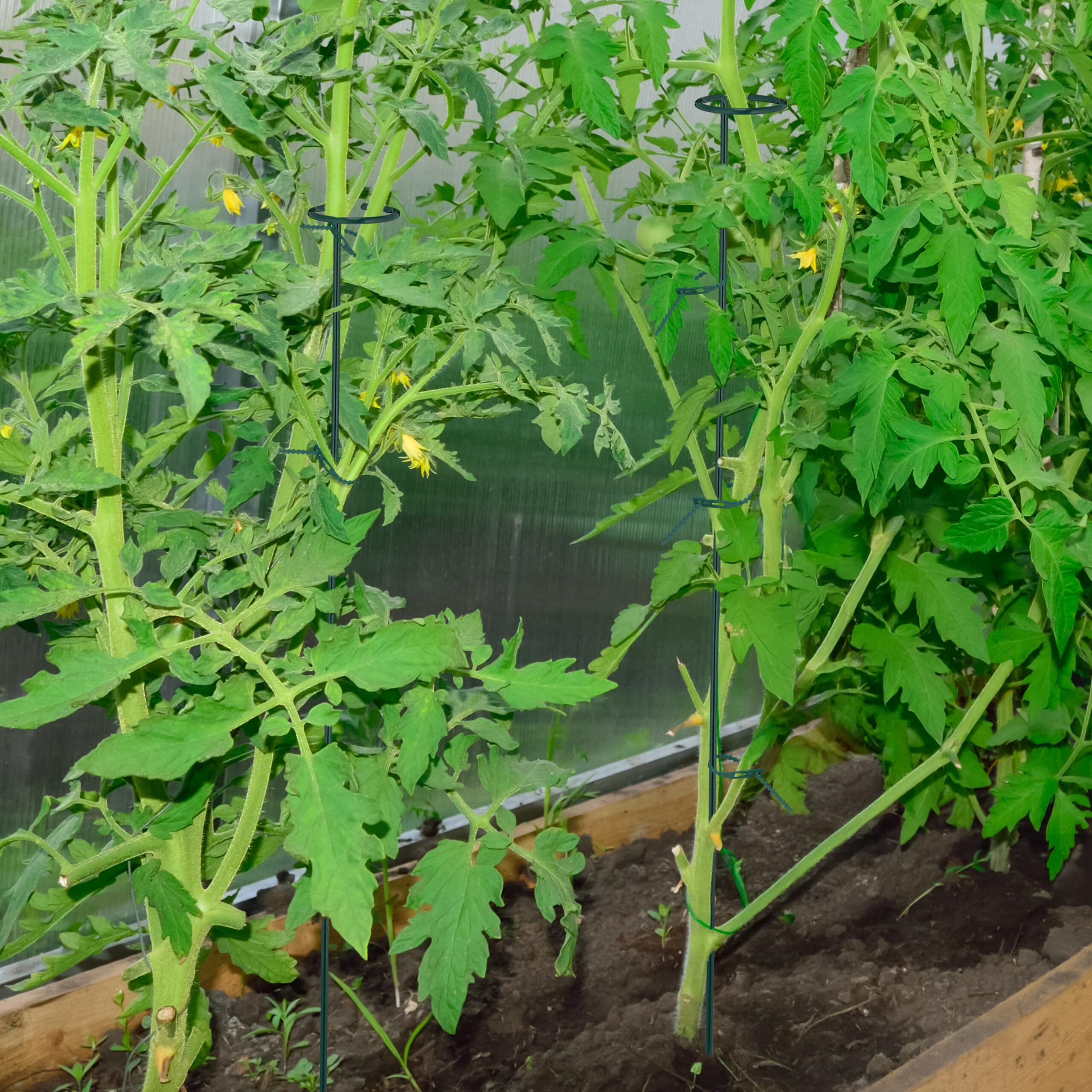 Relaxdays Tuteur à tomates, Lot de 10, métallique, Design Pratique, 80 cm, pour Le Jardin, Vert foncé