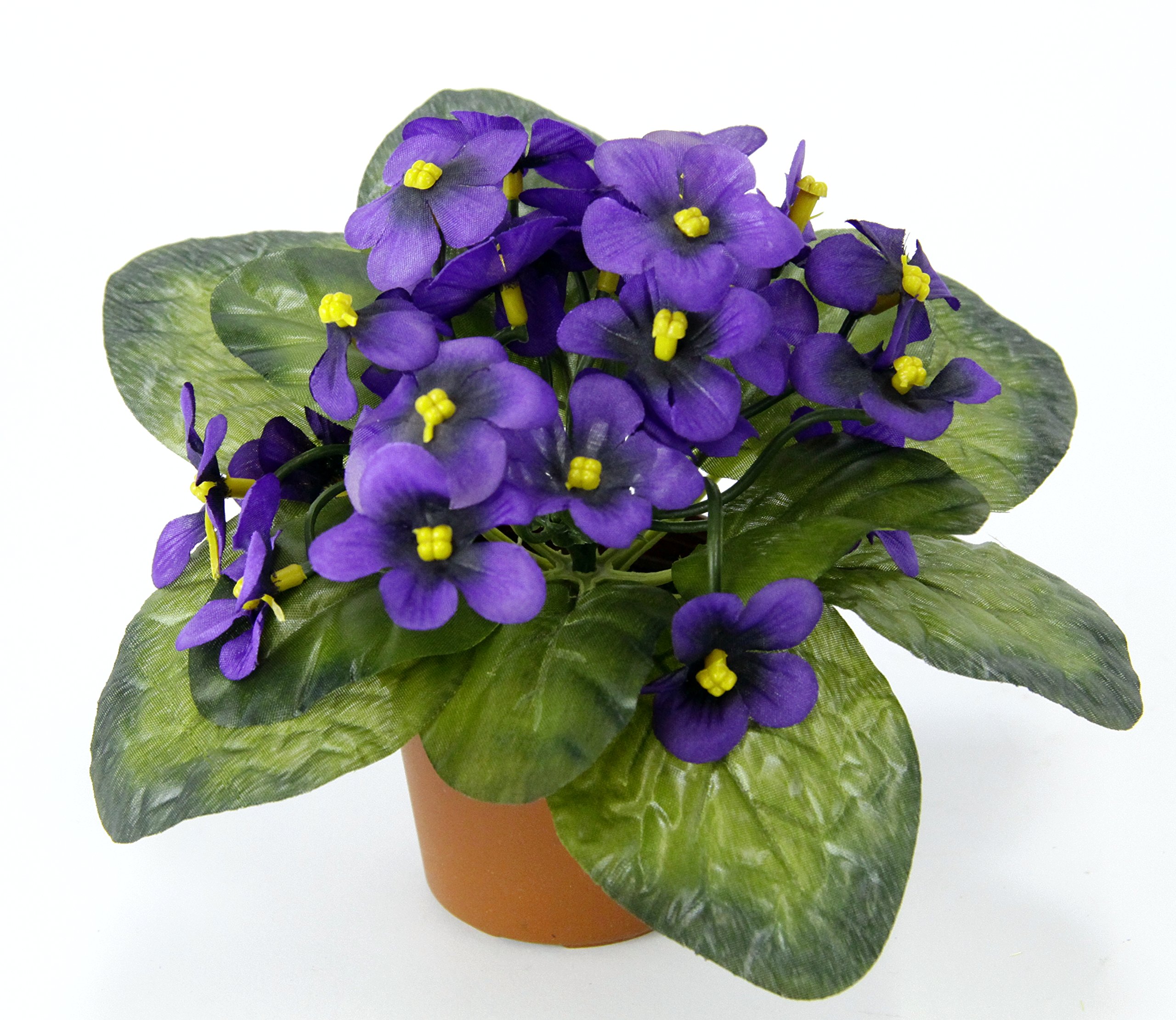 designer pflanztopf Botanyia Designer Blumentopf