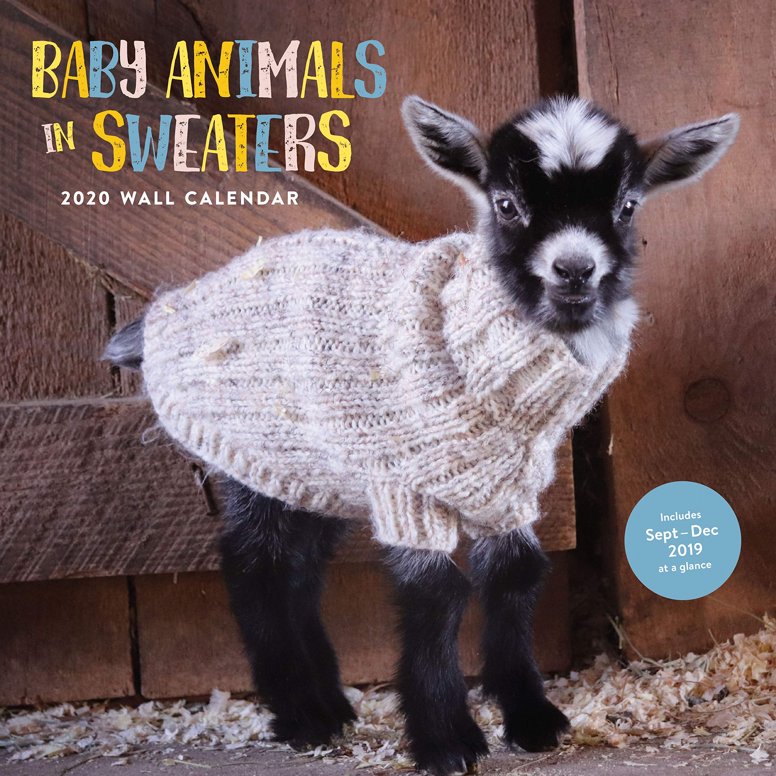 Baby Animals in Sweaters 2020 Wall Calendar: (2020 Wall Calendar, Cute Wall Calendar, Animal Wall Calendar) Calendar – Wall Calendar, July 23, 2019