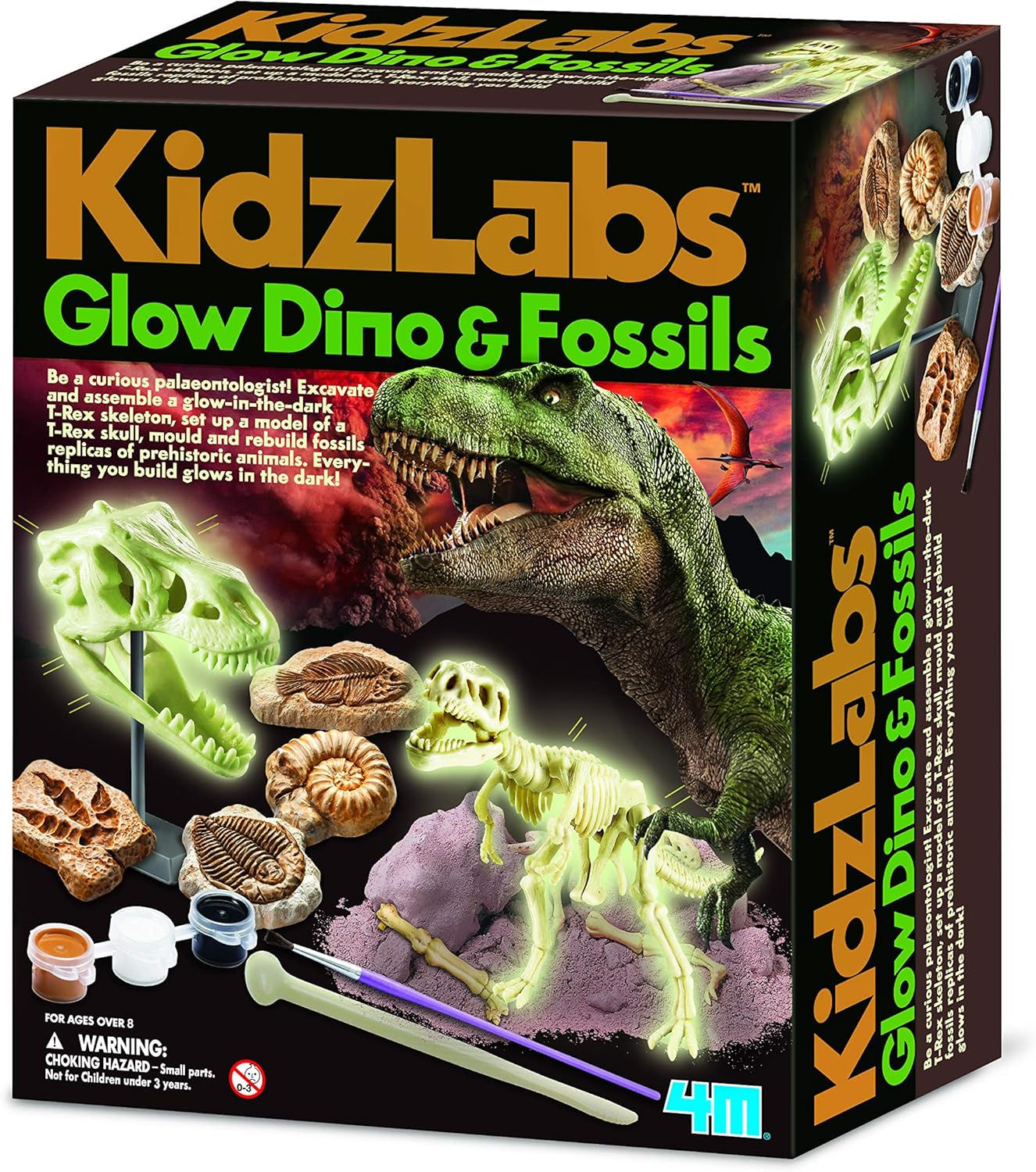Amazon.com: 4M Kidz Labs Glow Dino and Fossils : Toys & Games