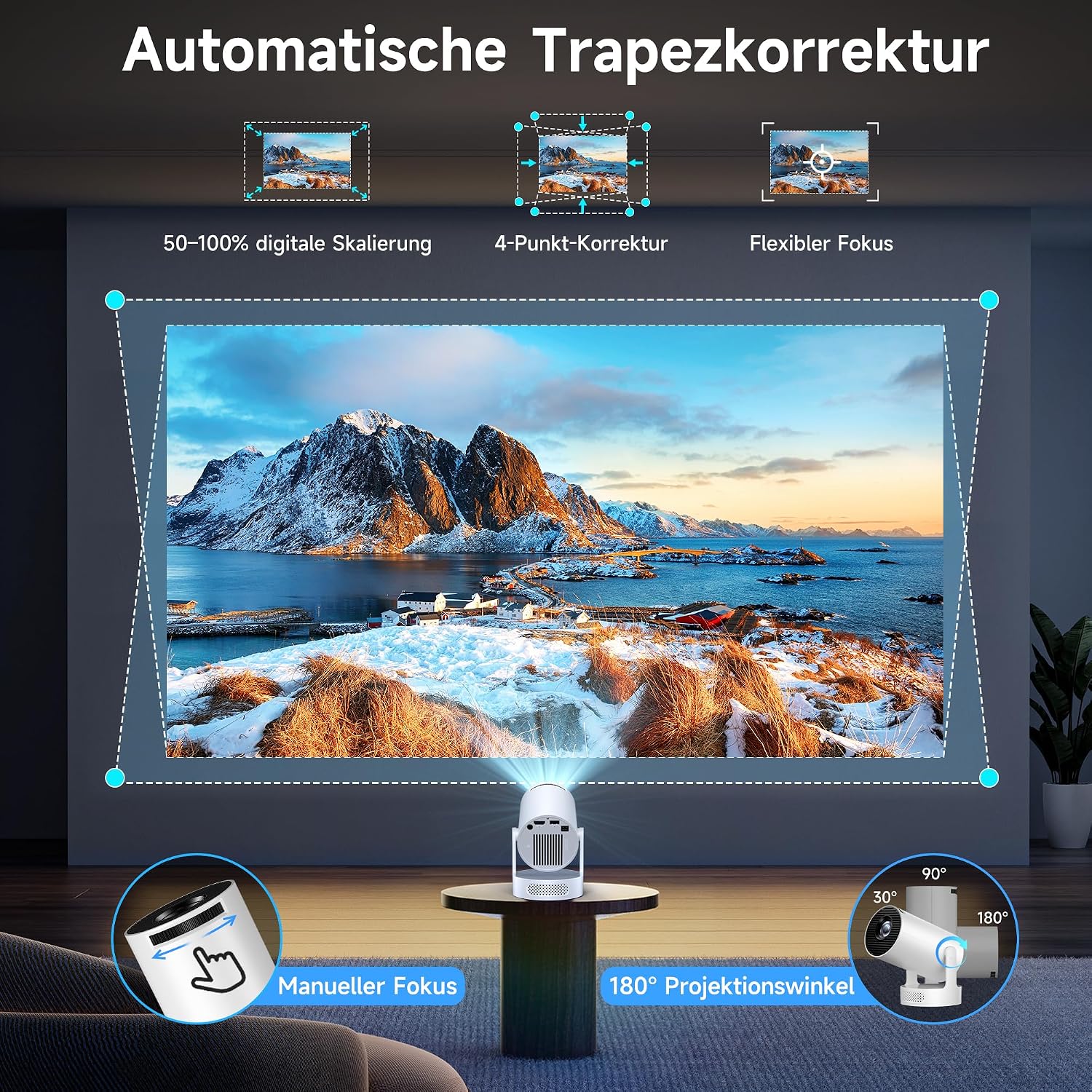 Vue 5
