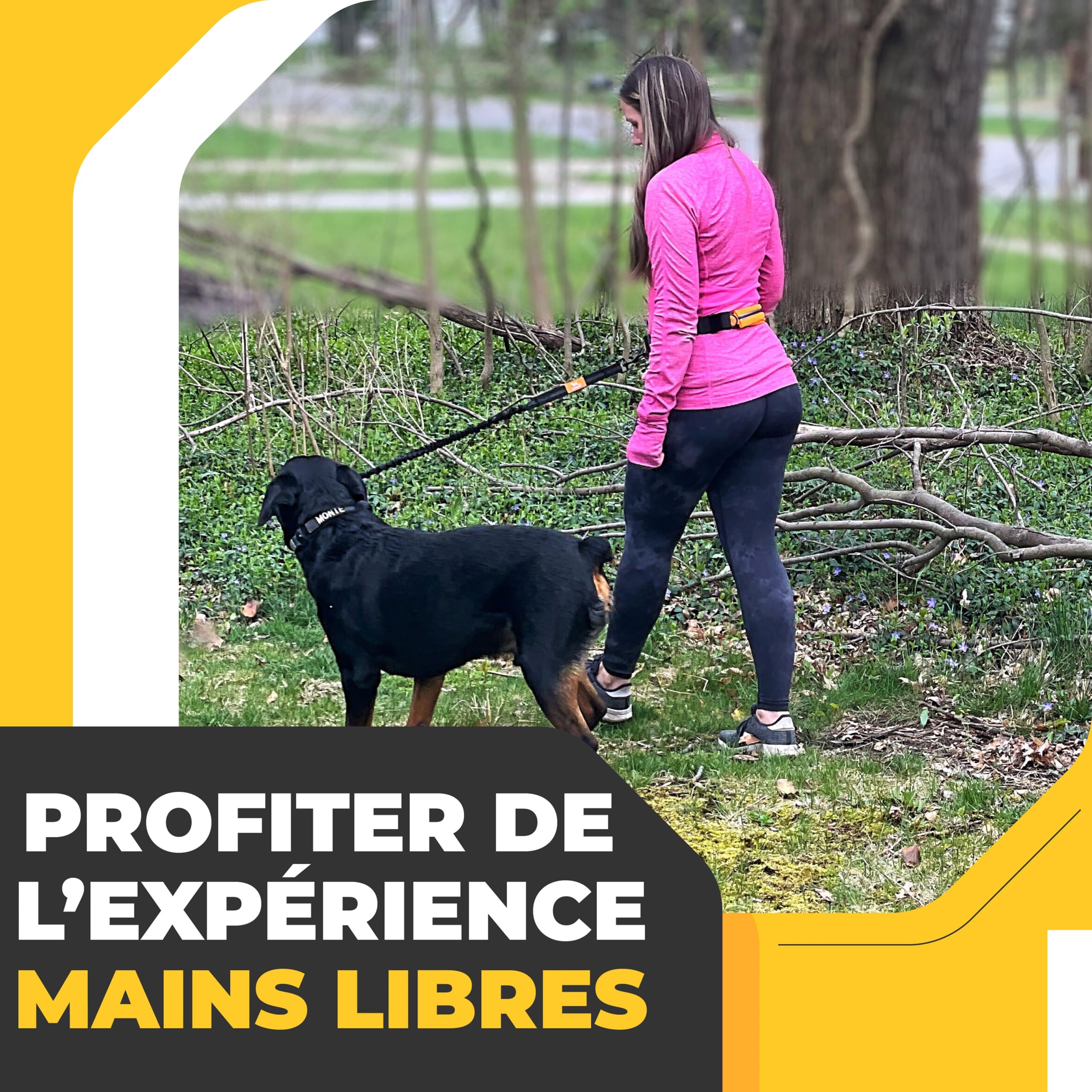 Barkswell Laisse Canicross Chien - Baudrier Canicross - Ceinture Canicross - Laisse Main Libre