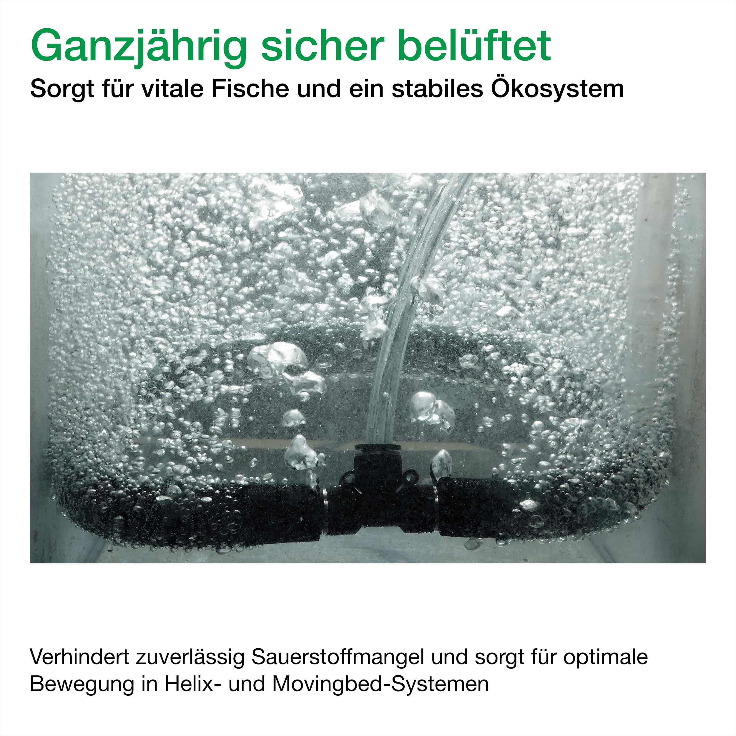 Wagner Green Japan Belüfterring (Ø 50 cm) Koi Teich Belüftung Sauerstoff, japanischer Ausströmer für den Koiteich Aber auch zur Sauerstoffanreicherung im Gartenteich