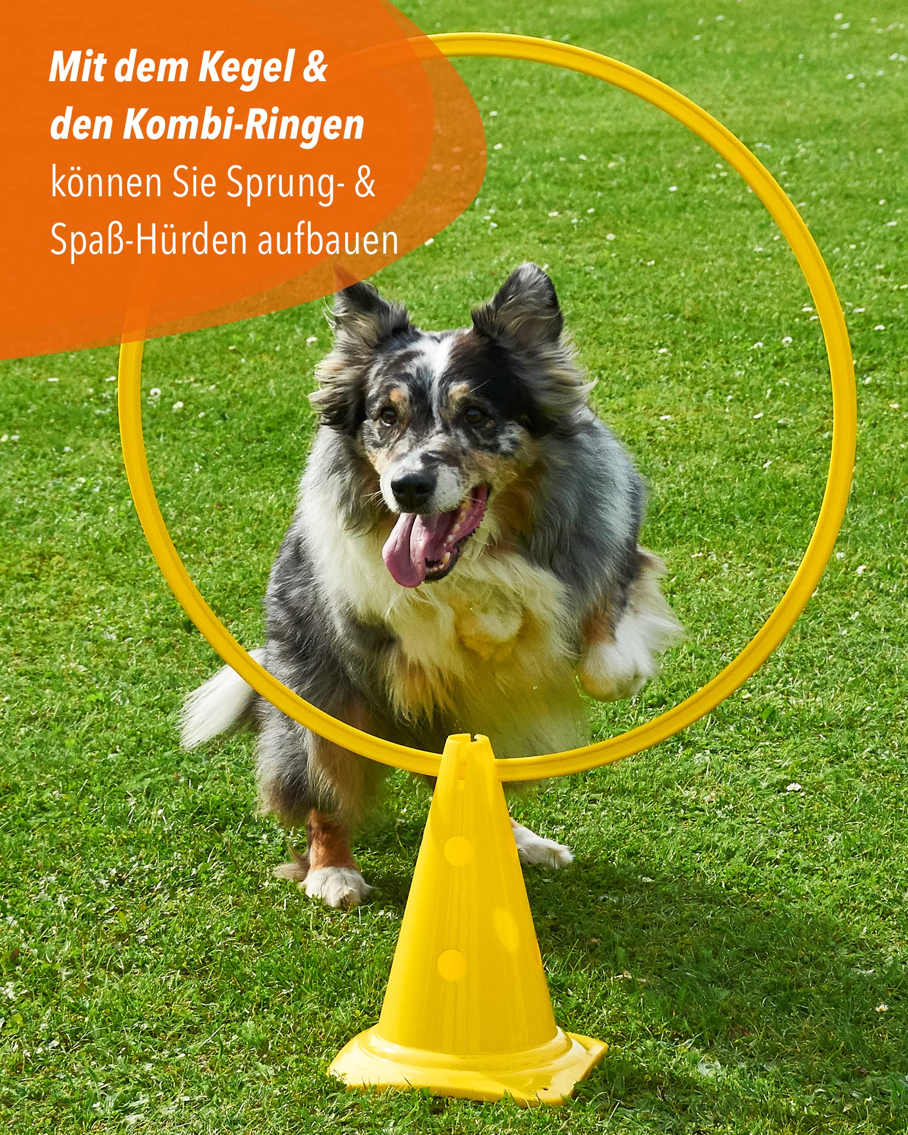 Combi cono 30 & anello combinato 70 – Set di 4 pezzi – per la costruzione di parcours & ostacoli – aiuto per l'allenamento per calcio, atletica e sport per cani
