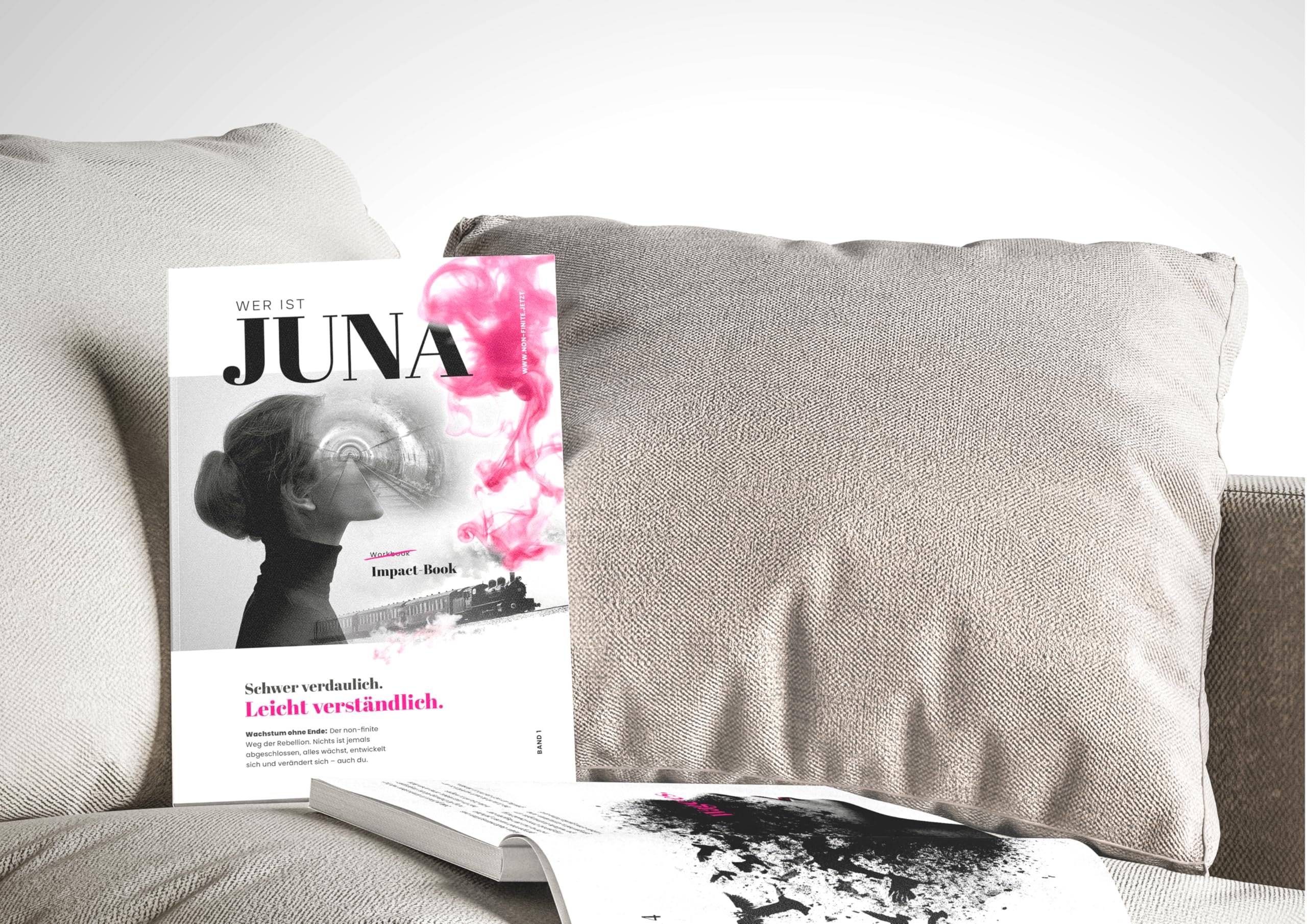 Wer ist Juna? Band 1: Impact Book. Schwer verdaulich. Leicht verständlich