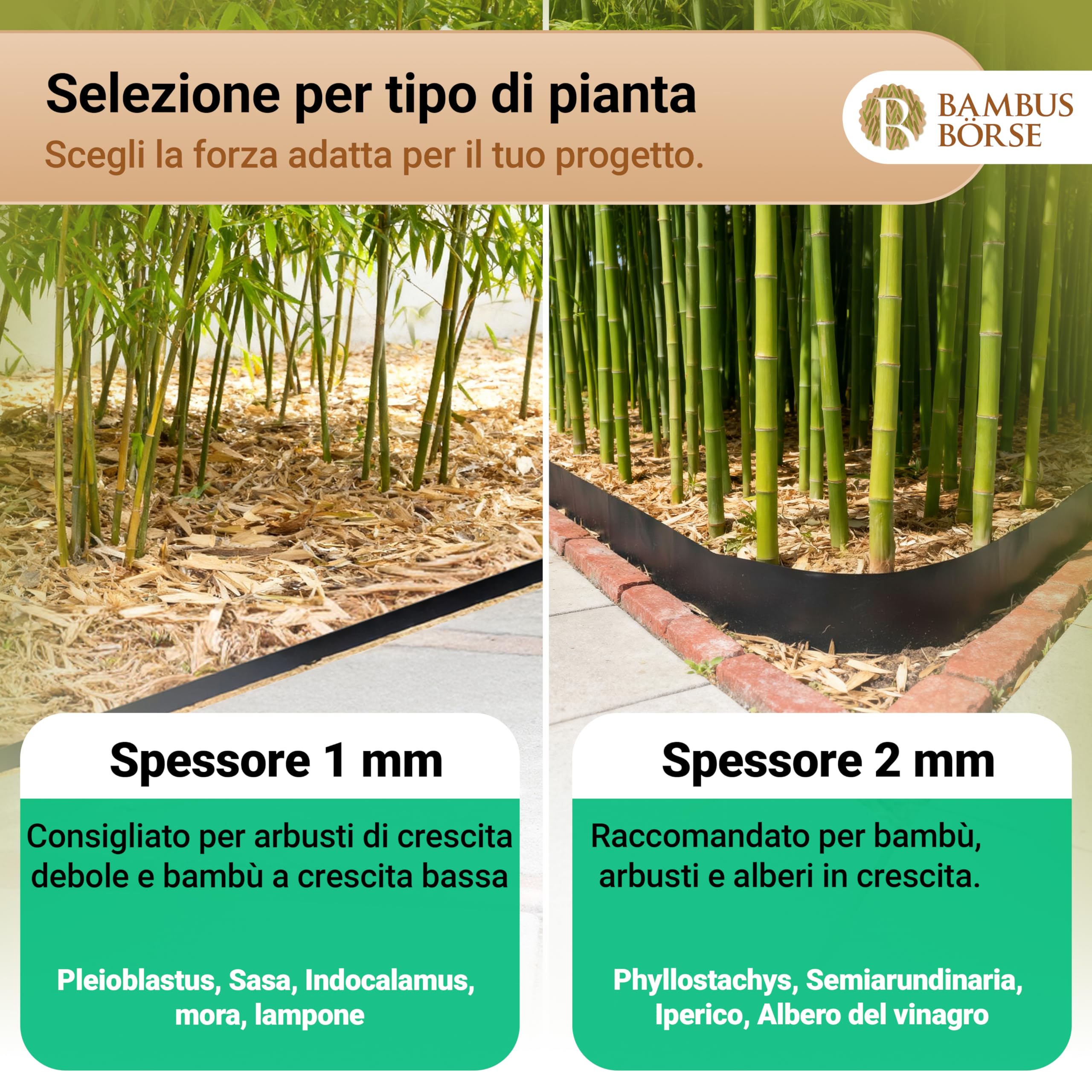 Barriera per Radici - Barriera per rizomi con Binario di bloccaggio Alta 70 cm, Spessa 2 mm, Lunga 20 m - Realizzata in HDPE di Alta qualità - Barriera per rizomi di bambù