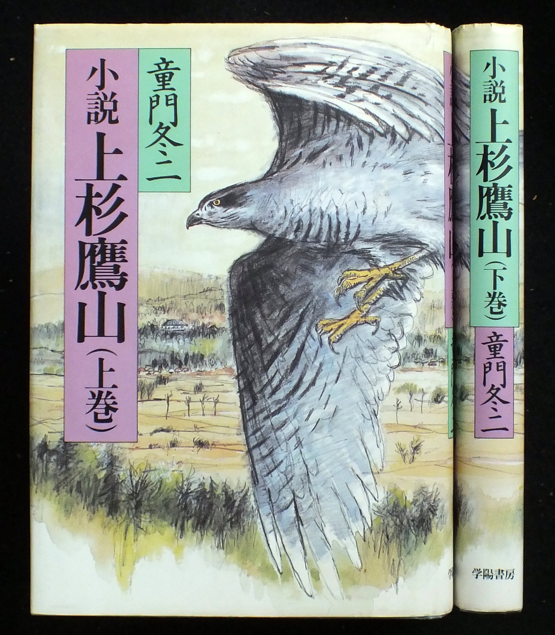 Amazon.co.jp: 小説 上杉鷹山 上下巻セット : 本