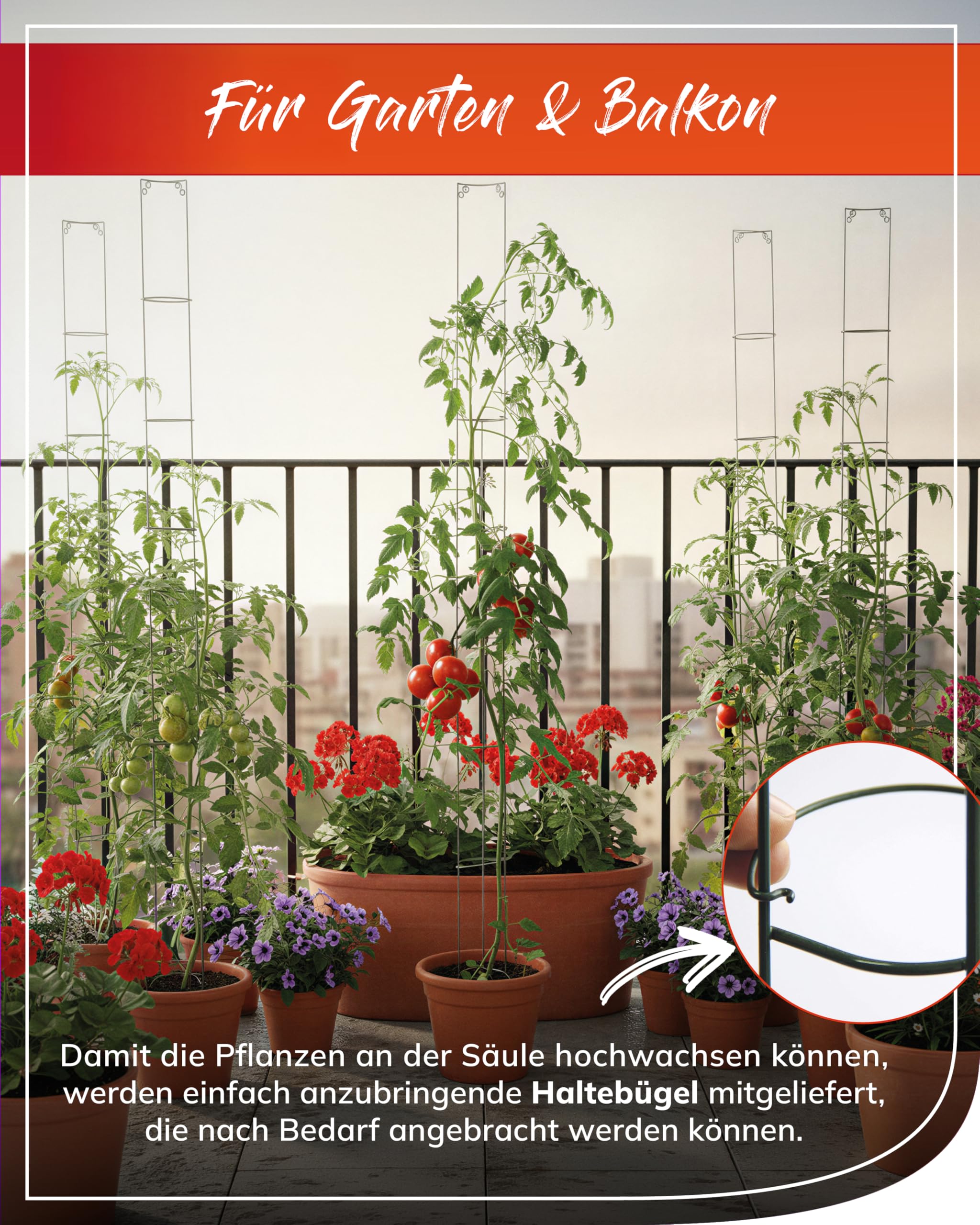bellissa Tomatenturm Rankhilfe Tomaten Höhe 5 Stück Metall 160 cm
