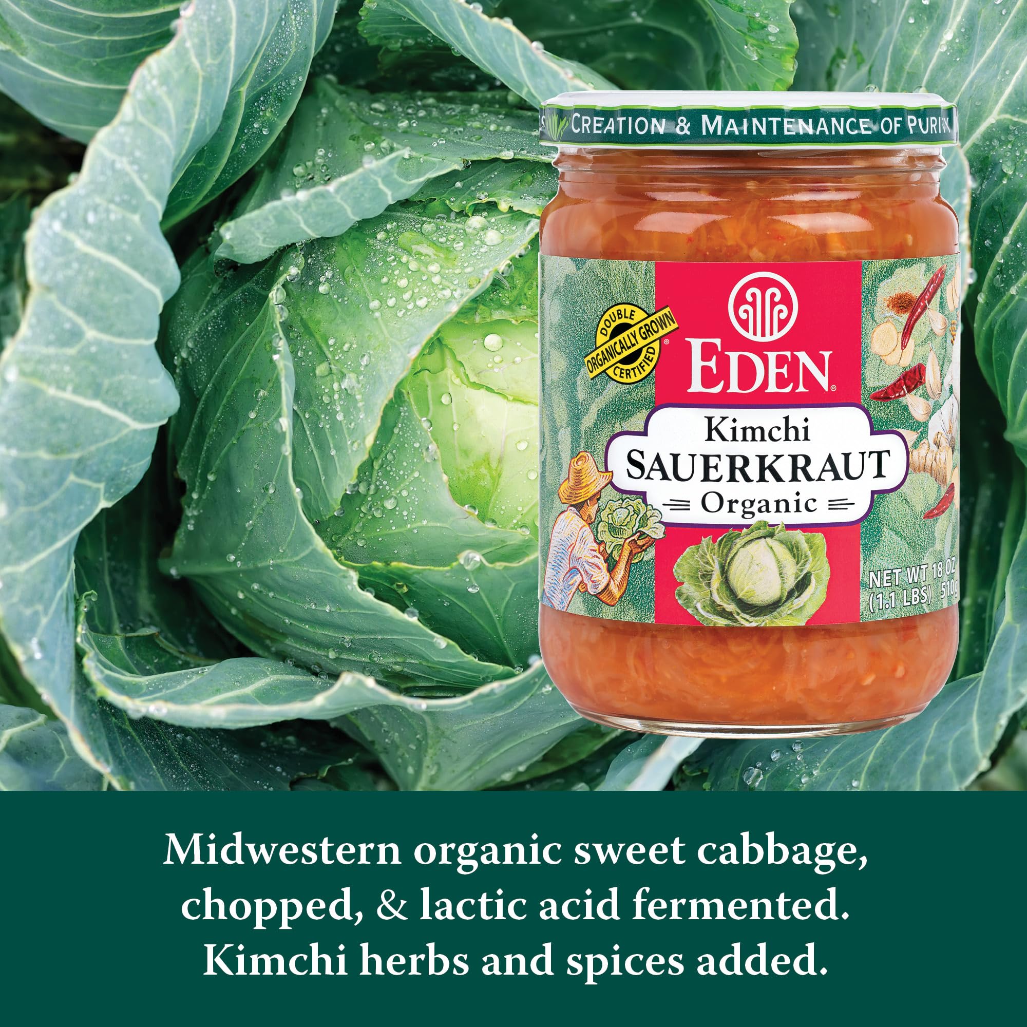 Eden Organic Sauerkraut, 18 oz Glass Jar, Kimchi, Fine Cut
