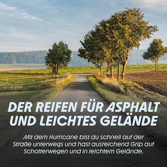 Schwalbe Hurricane Performance Drahtreifen // 57-584 (27,5x2,25')