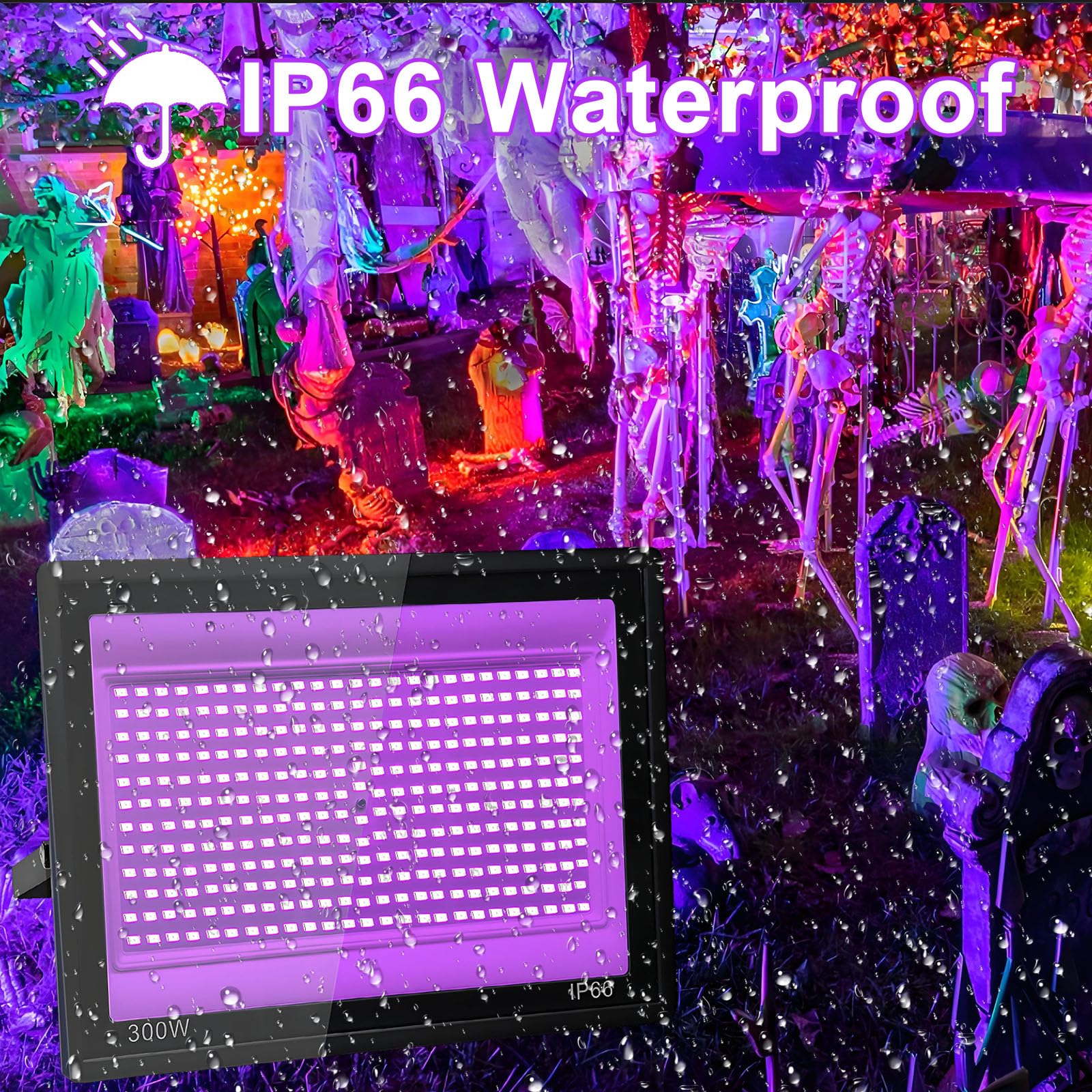 1037356_6