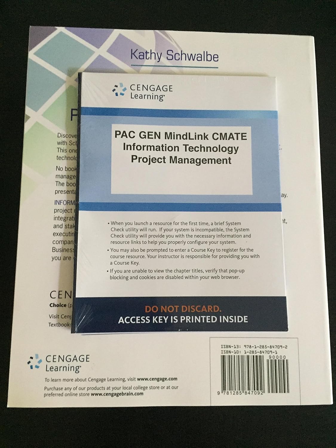 Information Technology Project Management, Revised