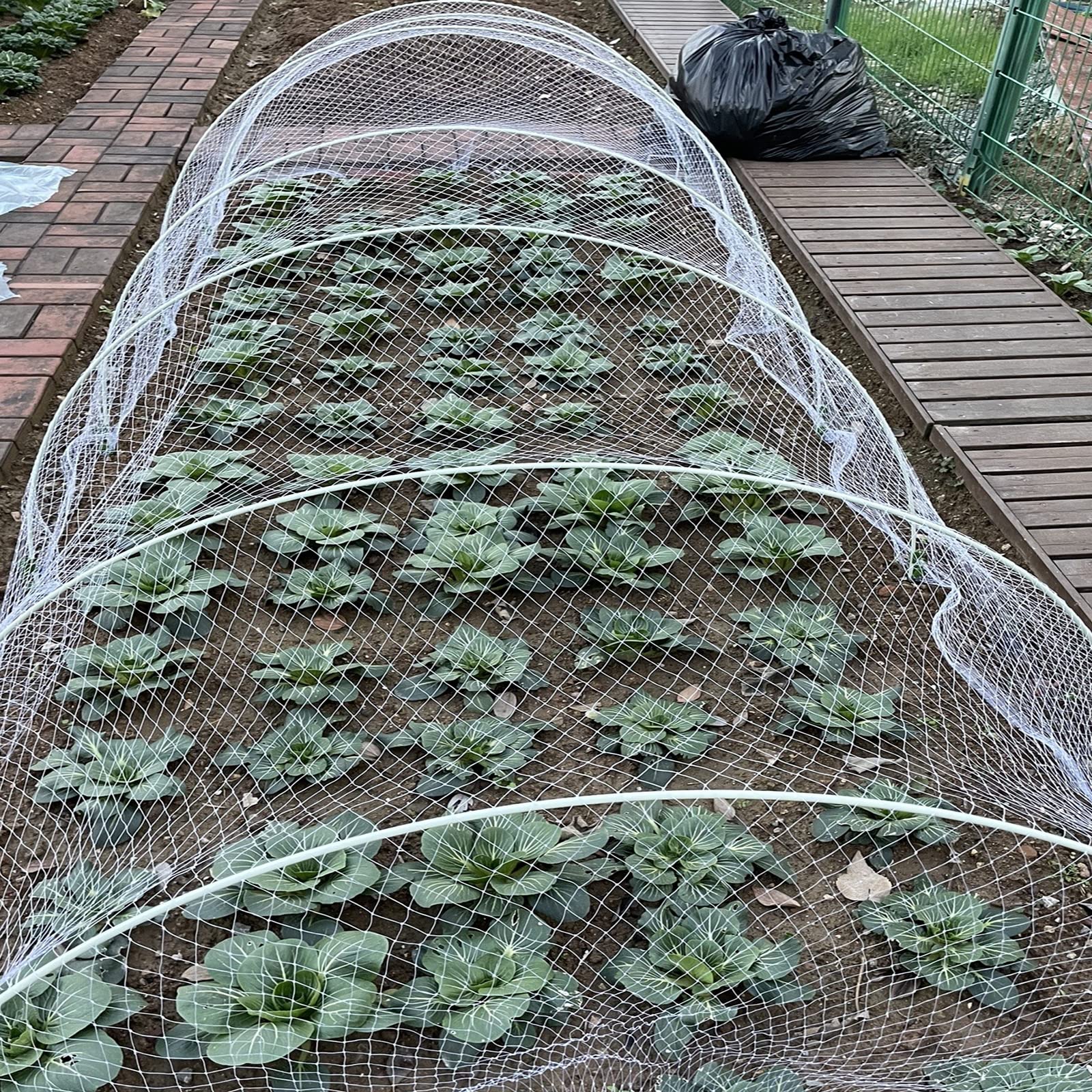æ- 6 Stks Kas Hoops Plant Hoop Ondersteuning Groeien Tunnel Ondersteuning Hoops met Plastic Coated Plant Ondersteunt voor Tuin Stof