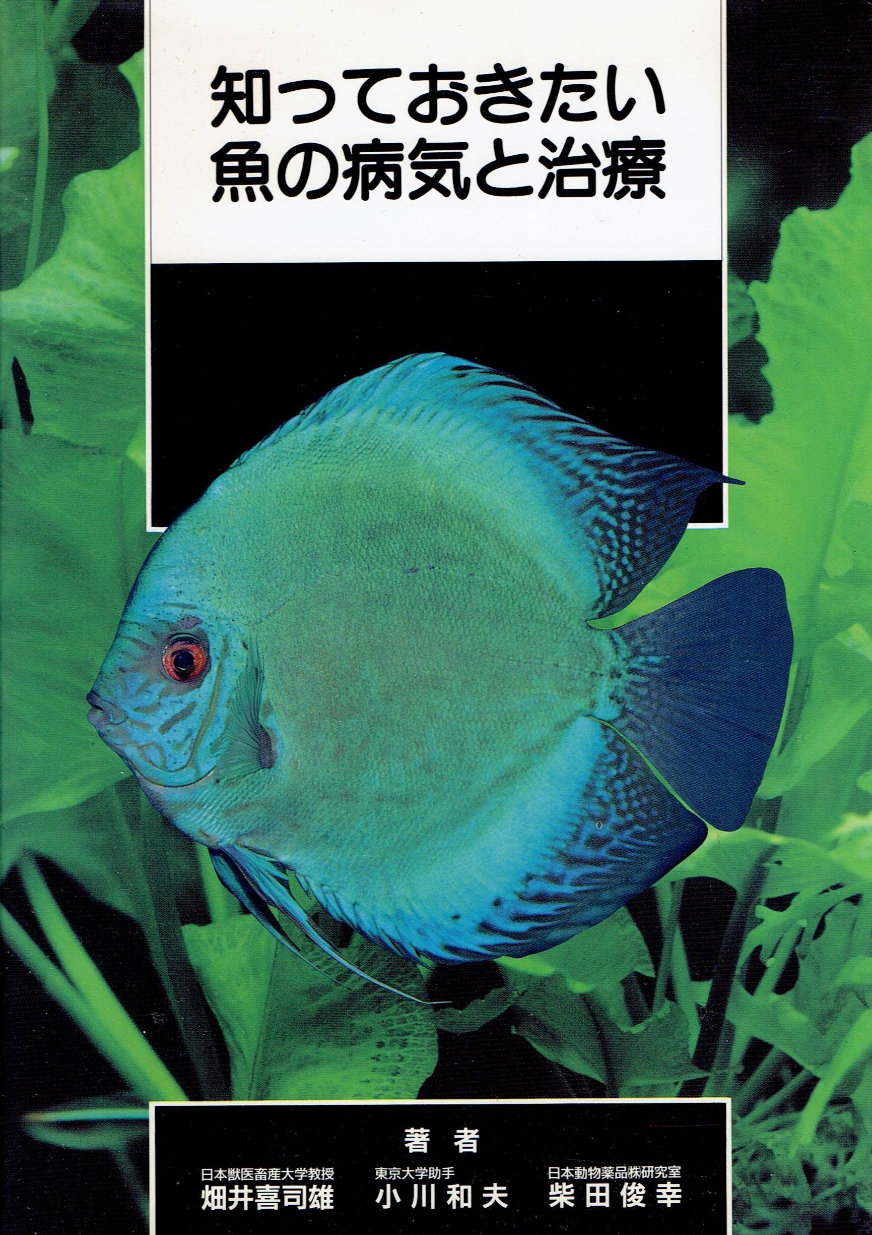 Amazon.co.jp: 知っておきたい 魚の病気と治療 : 畑井 喜司雄, 小川
