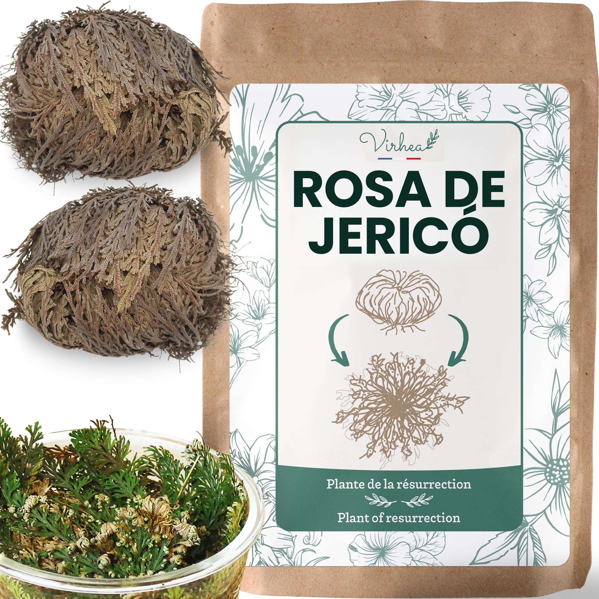 Rosa de Jericho x2 - Planta Natural Auténtica Rosa de Jerico - Flor de Jerico Verdadera para Decoración - Rosa del Desierto Viva - Ideal para Regalos y Feng Shui