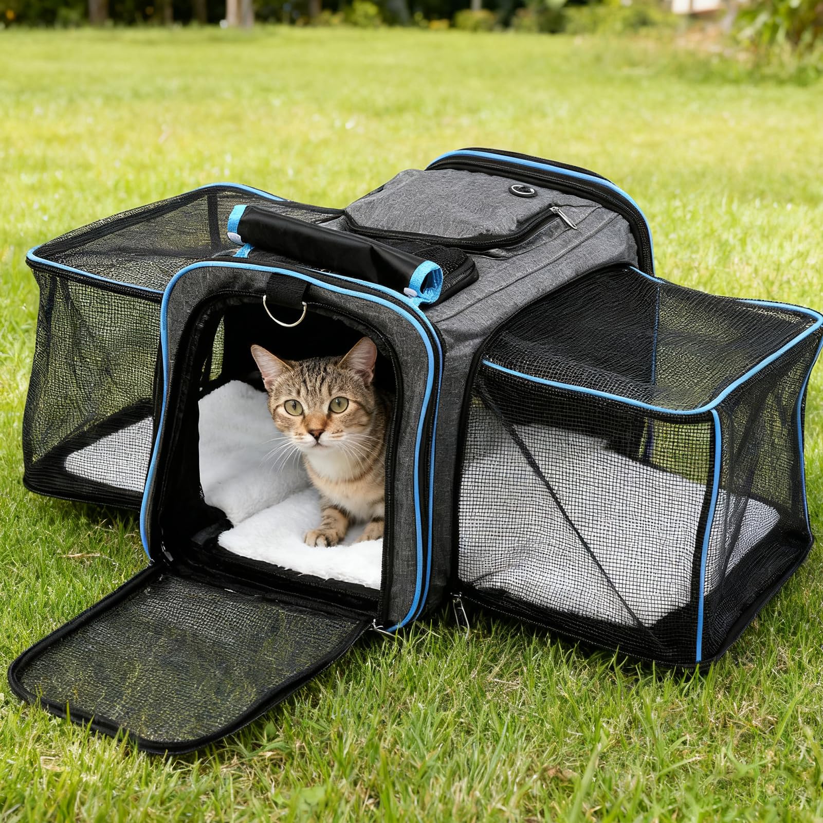 Erweiterbar Hunderucksack-Hunderucksack Bis 15kg,Faltbare Katzen Rucksack Mit Innerer Sicherheitsleine Und Haustiermatte,Atmungsaktive Und Leichte Dog Cat Backpack,Grau(Max.15KG)