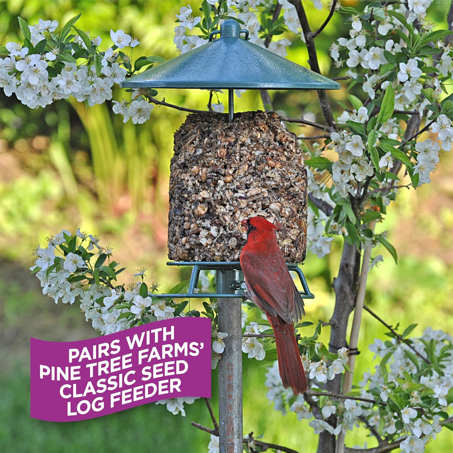 Pine Tree Farms FruitBerry Nut Classic Seed Log for Wild Birds, 28 oz. (3 Pack)