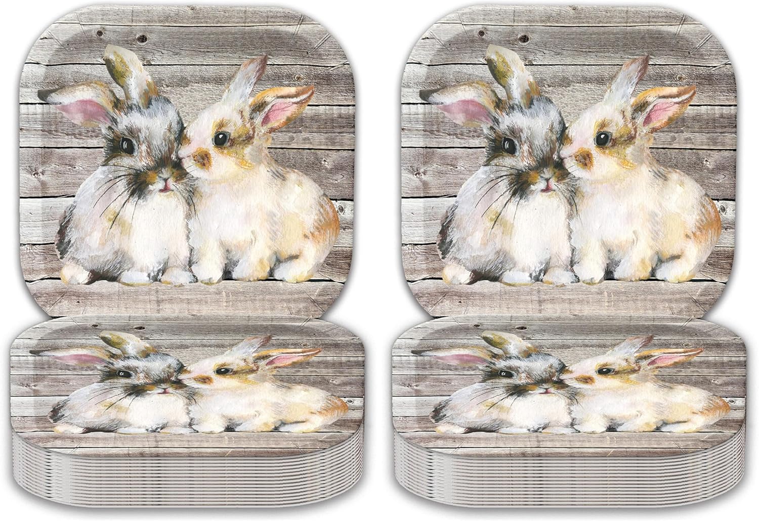 Havercamp Bunny Rabbit Plates (24 pcs)! - 9 inch Large Dinner Plates. Super-Cute, Baby Bunny Rabbits on a Rustic Barnwood Background. Easter or Any Occasion (Pack of 2)