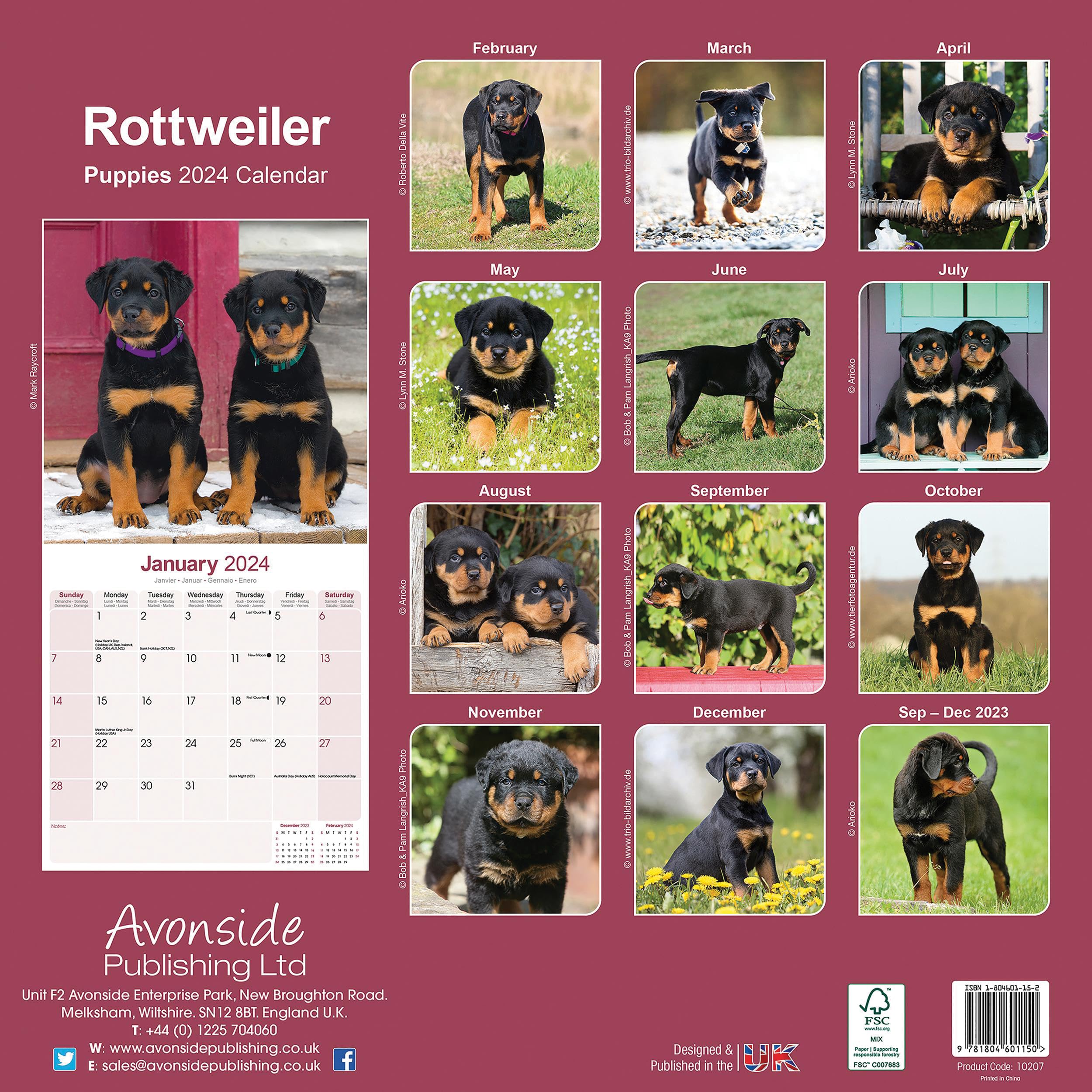 Rottweiler Puppies Calendar 2024 - Image 2