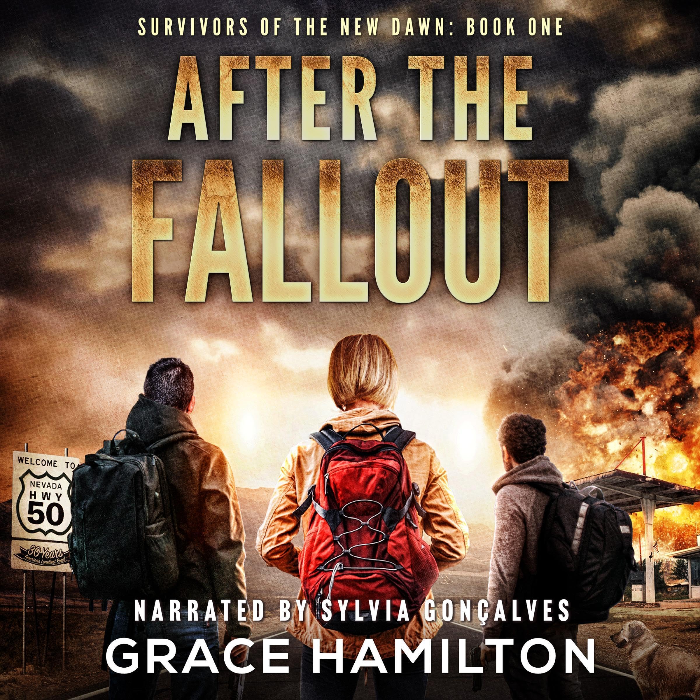 Cover art for After the Fallout