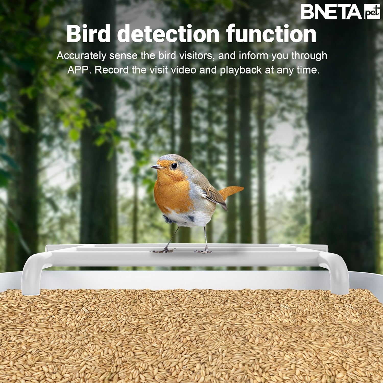 Image showing the Bneta BF002 bird feeder with icons highlighting its features: Ultra-wide HD Photo, 1080P HD Live Stream Video, APP Control, AI bird recognition, 2.5L Food capacity, and Built-in microphone.